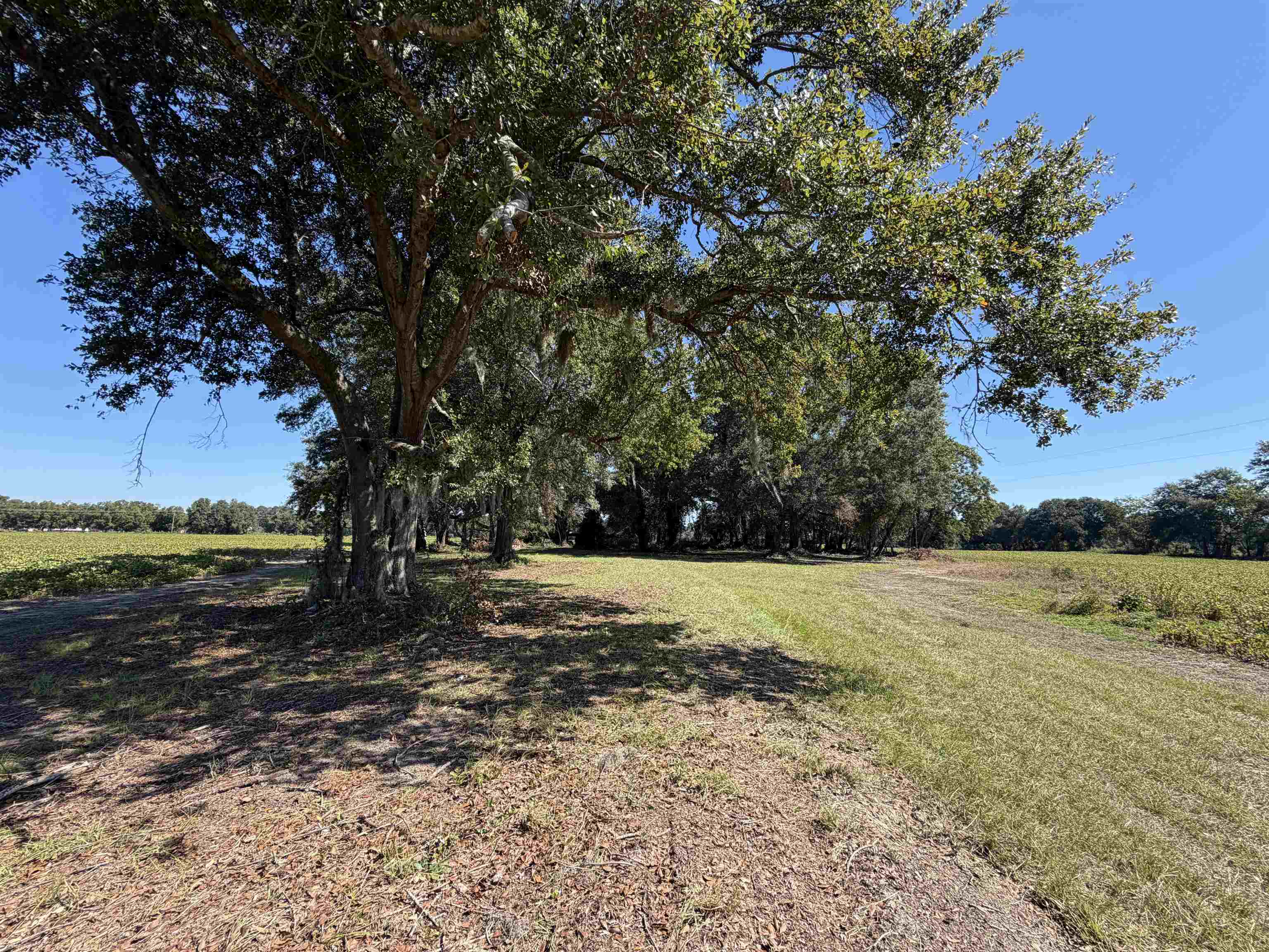 Lot 2 - Sumter Hwy. Property Photo 9