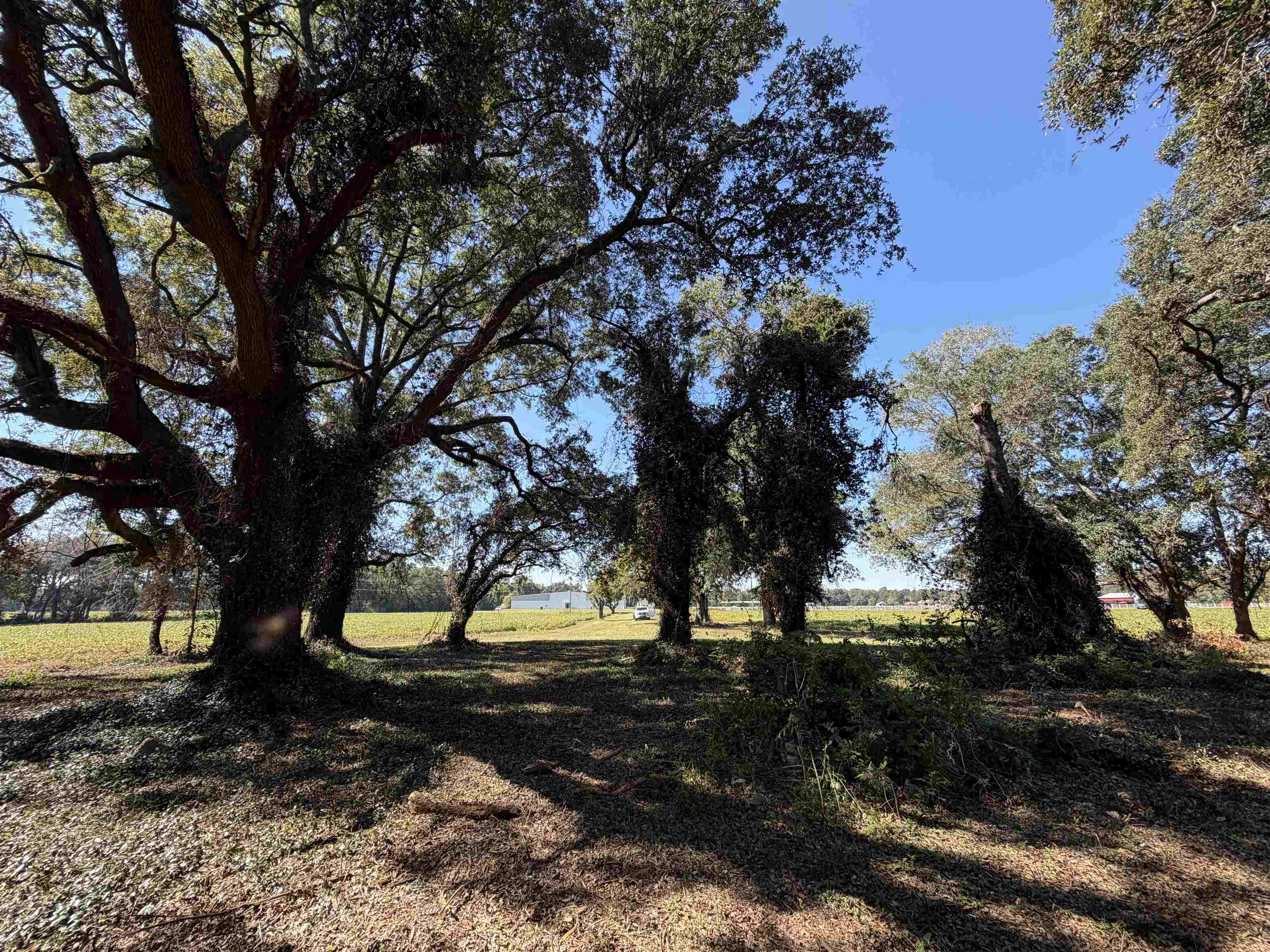 Lot 2 - Sumter Hwy. Property Photo 10