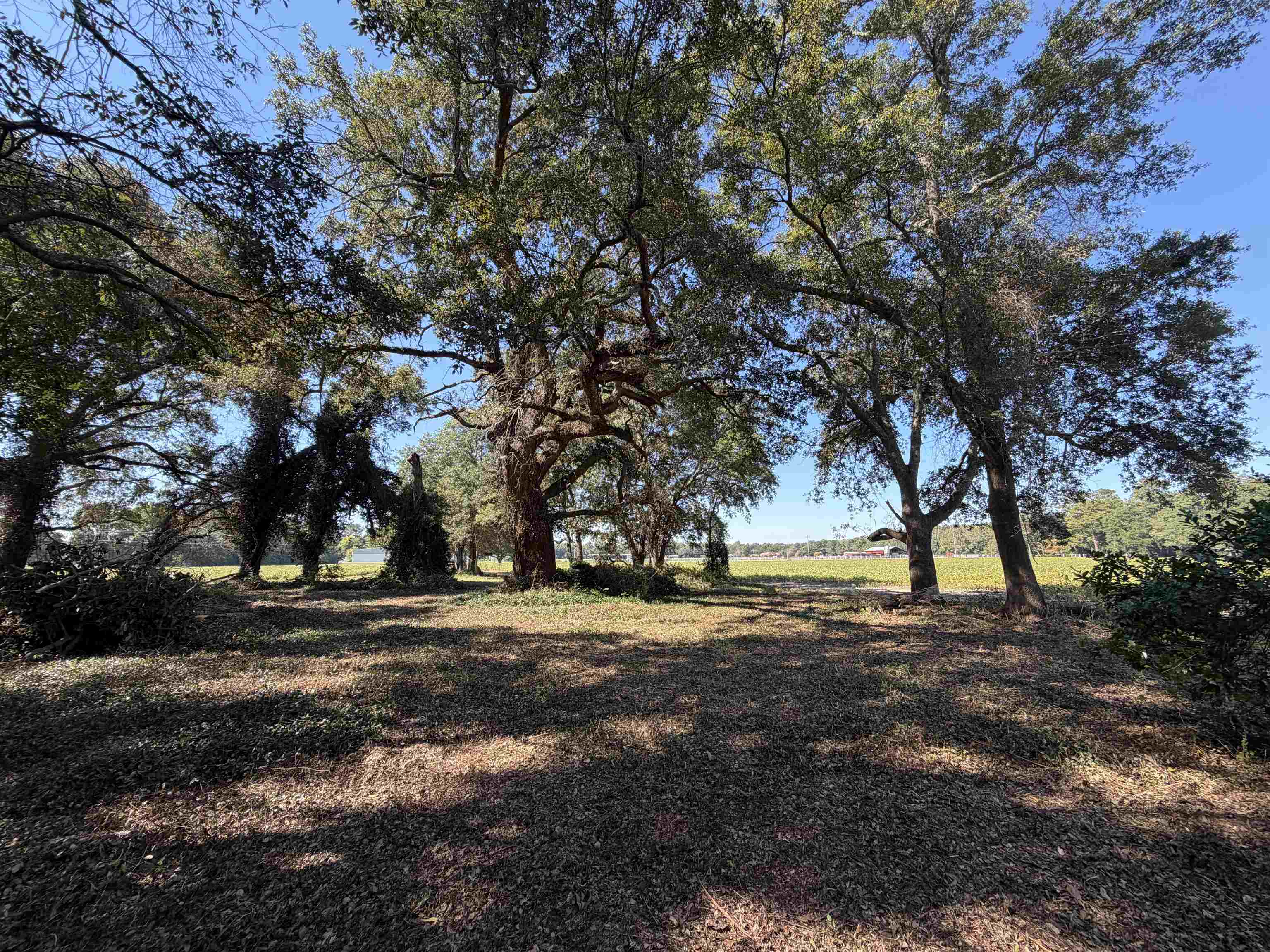 Lot 2 - Sumter Hwy. Property Photo 12