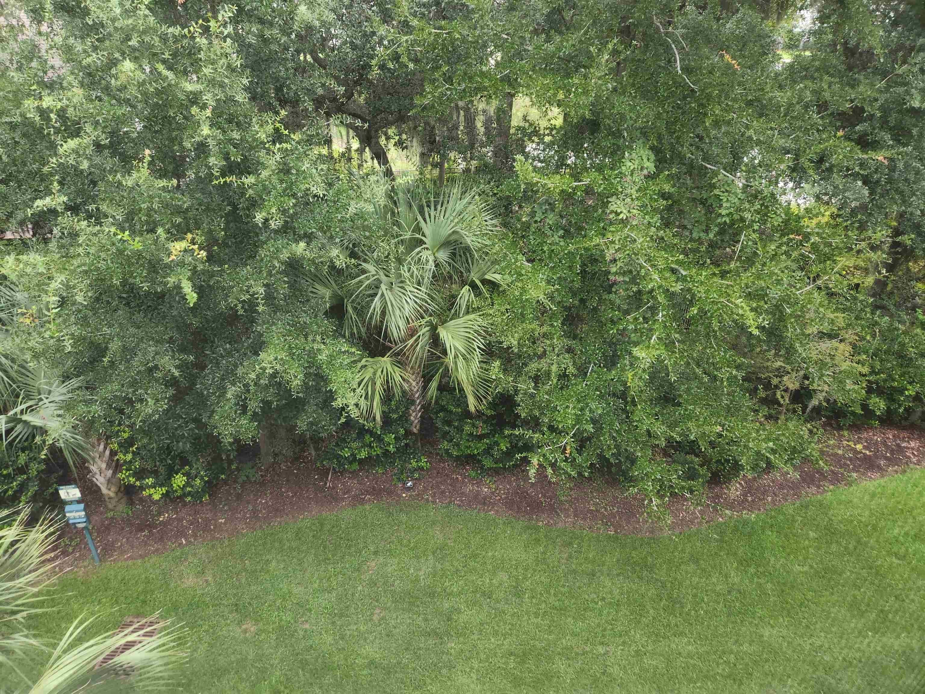128-3a Puffin Dr. Property Photo 4