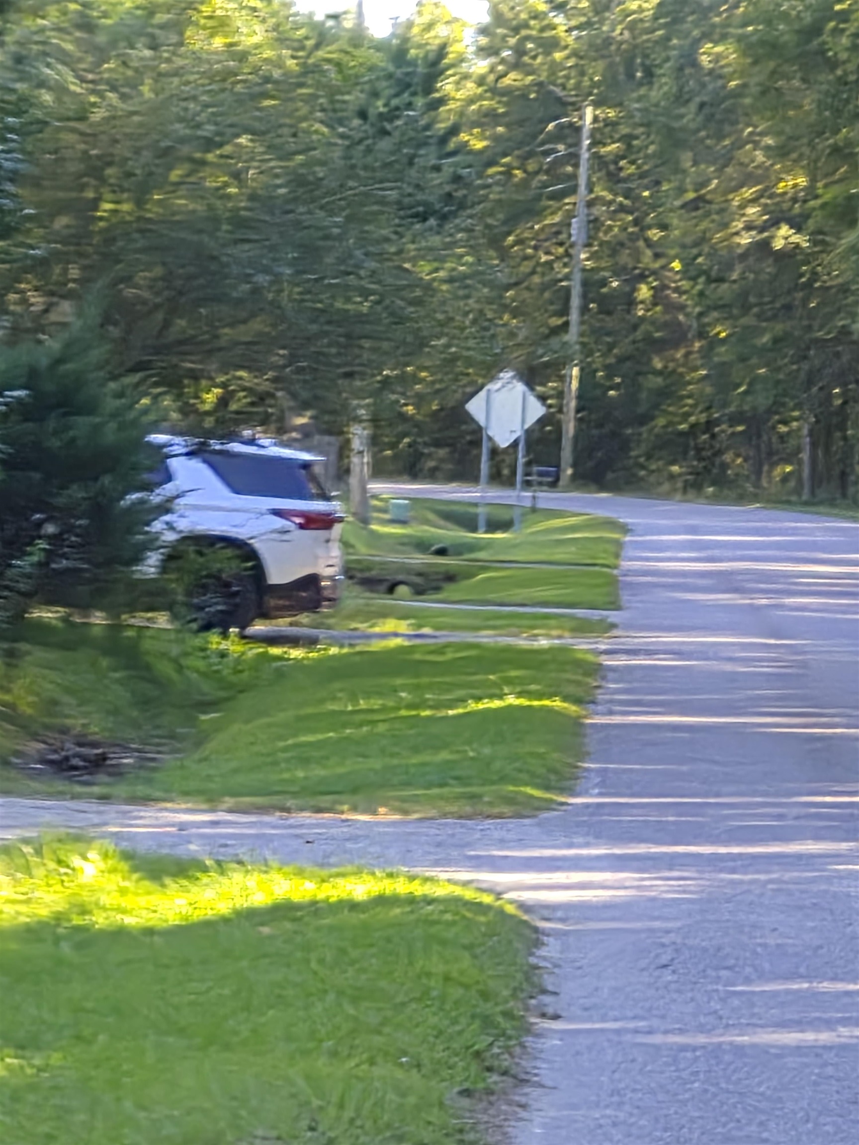123+ E Bear Grass Rd. Property Photo 6