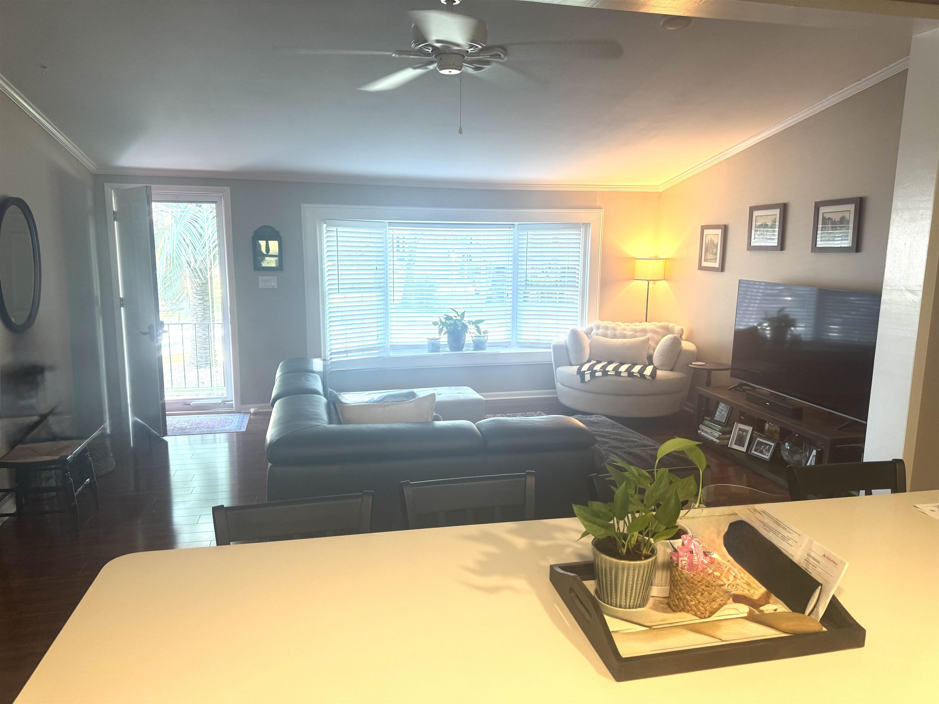 847 Blue Ridge Trail Property Photo 8