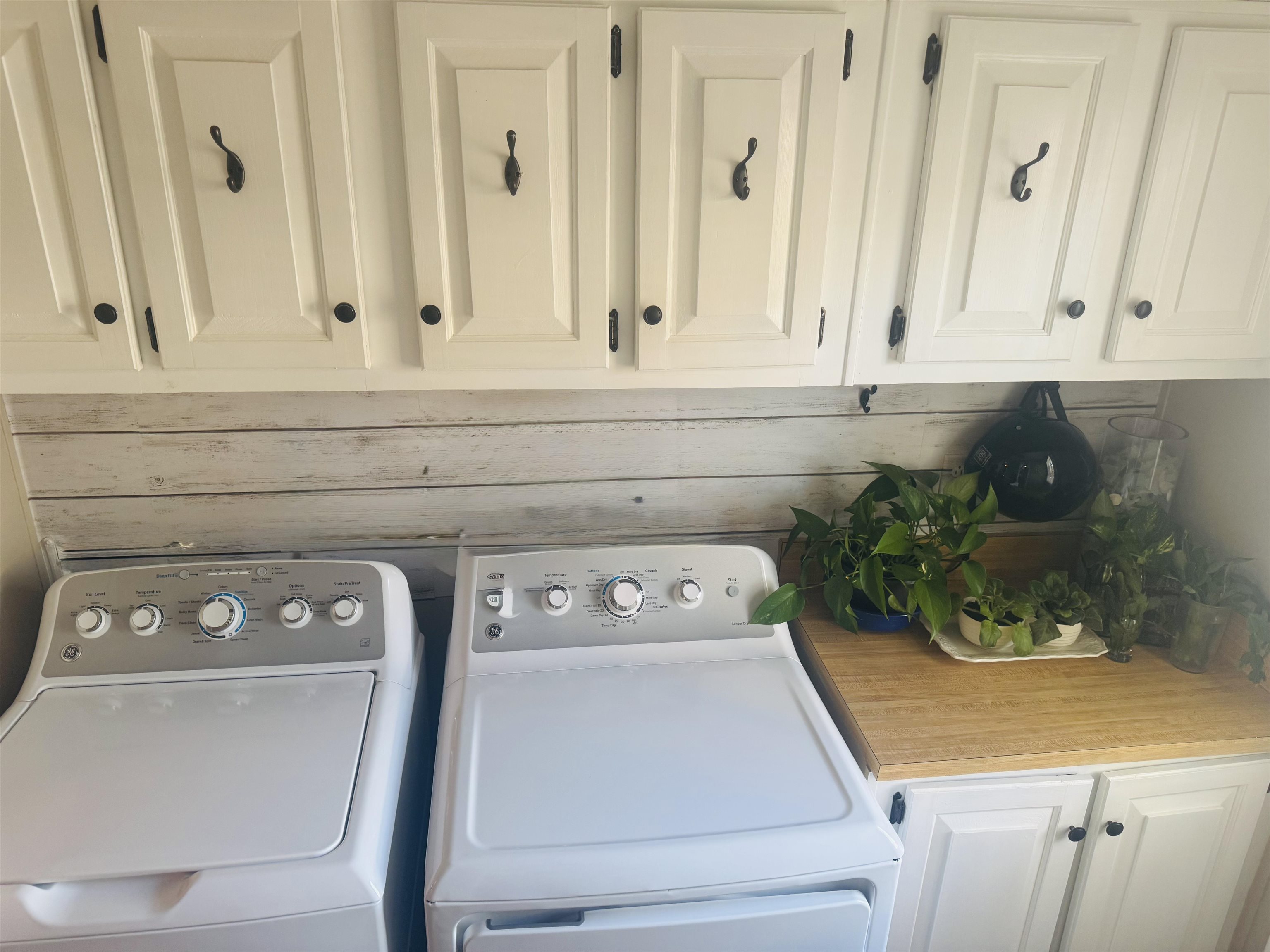 847 Blue Ridge Trail Property Photo 18