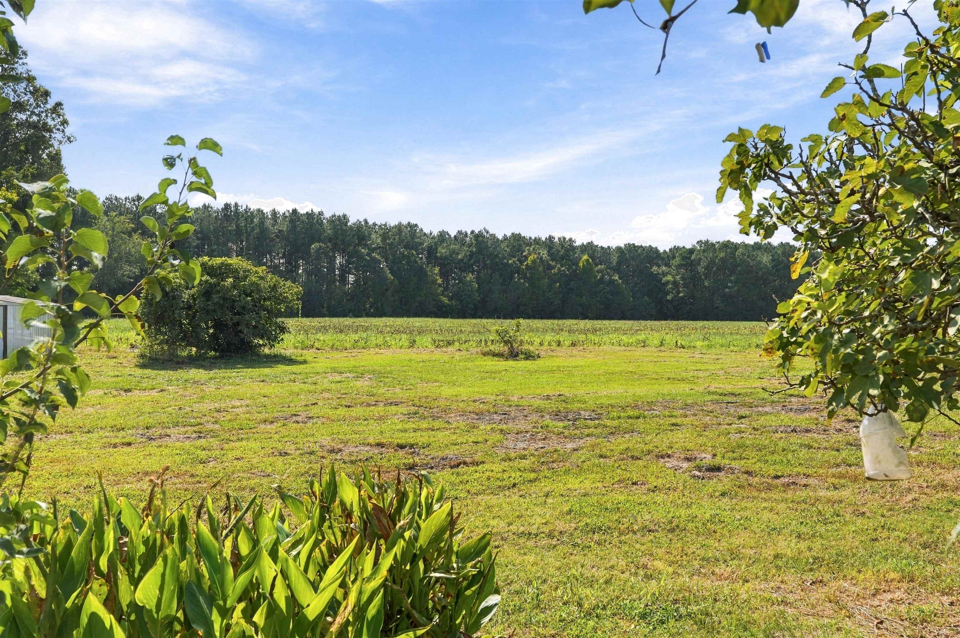 1705 Highway 792 Property Photo 30