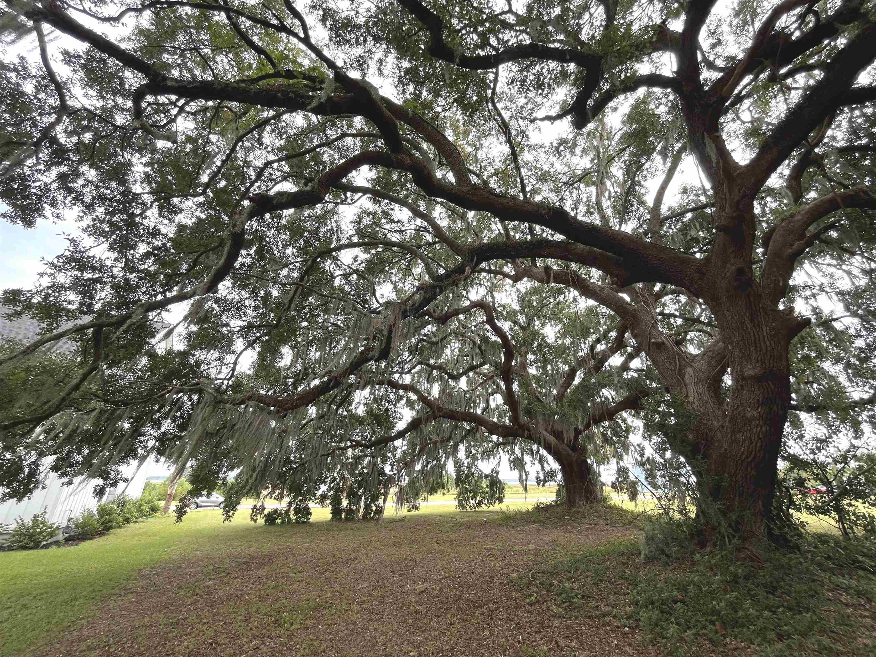 Lot 50 Oak Bay Dr. Property Photo 13