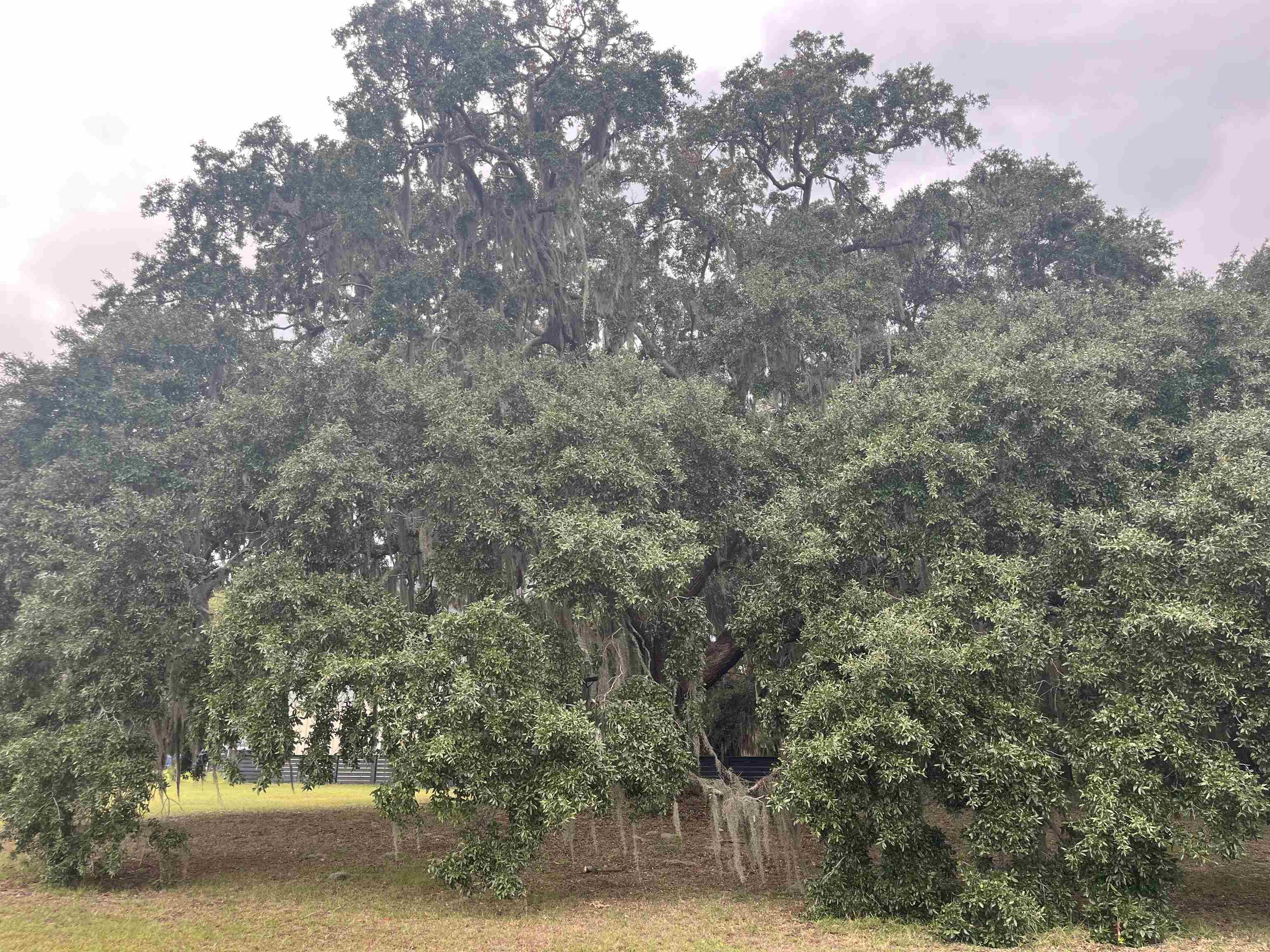Lot 50 Oak Bay Dr. Property Photo 16