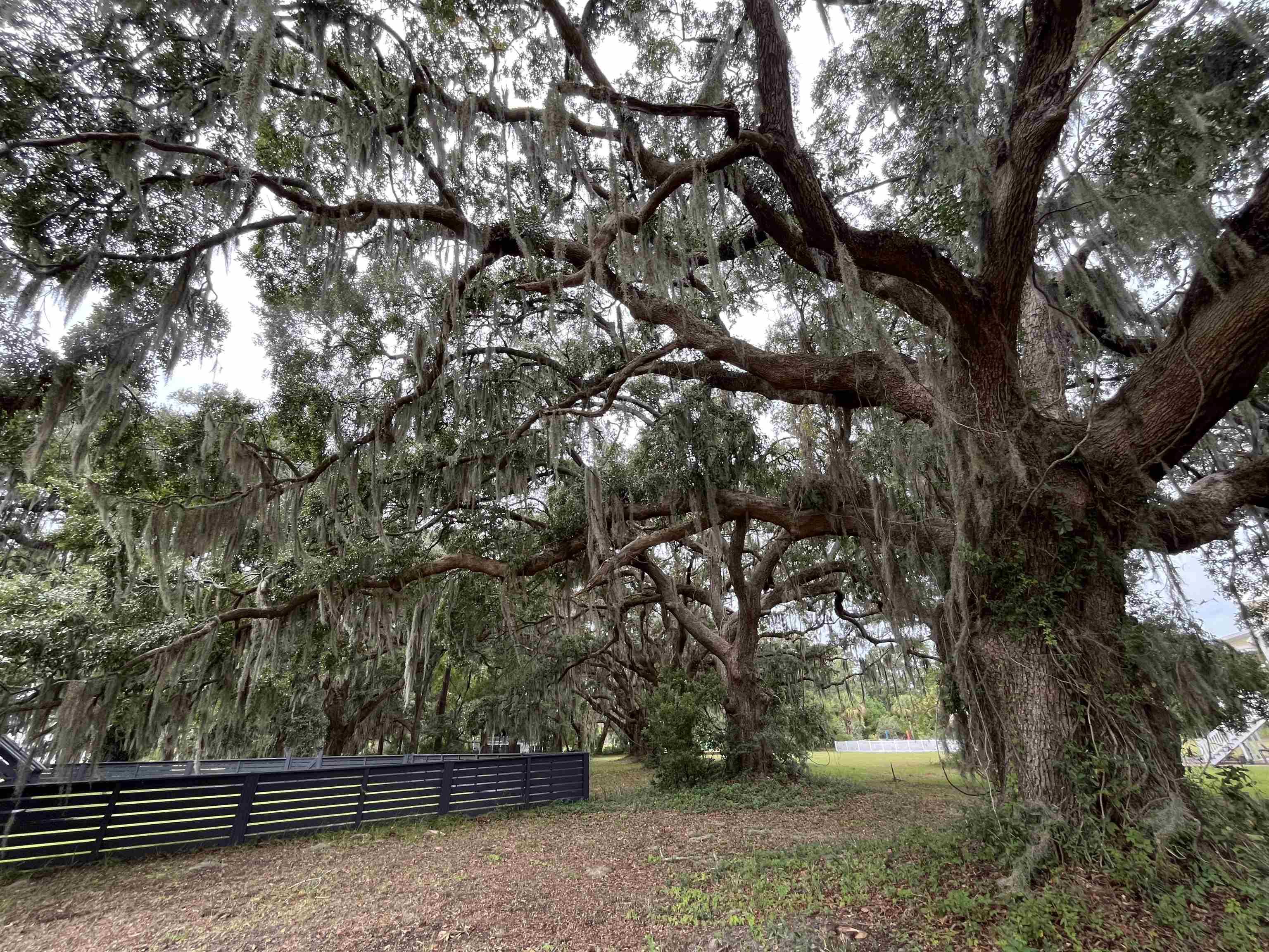 Lot 50 Oak Bay Dr. Property Photo 19