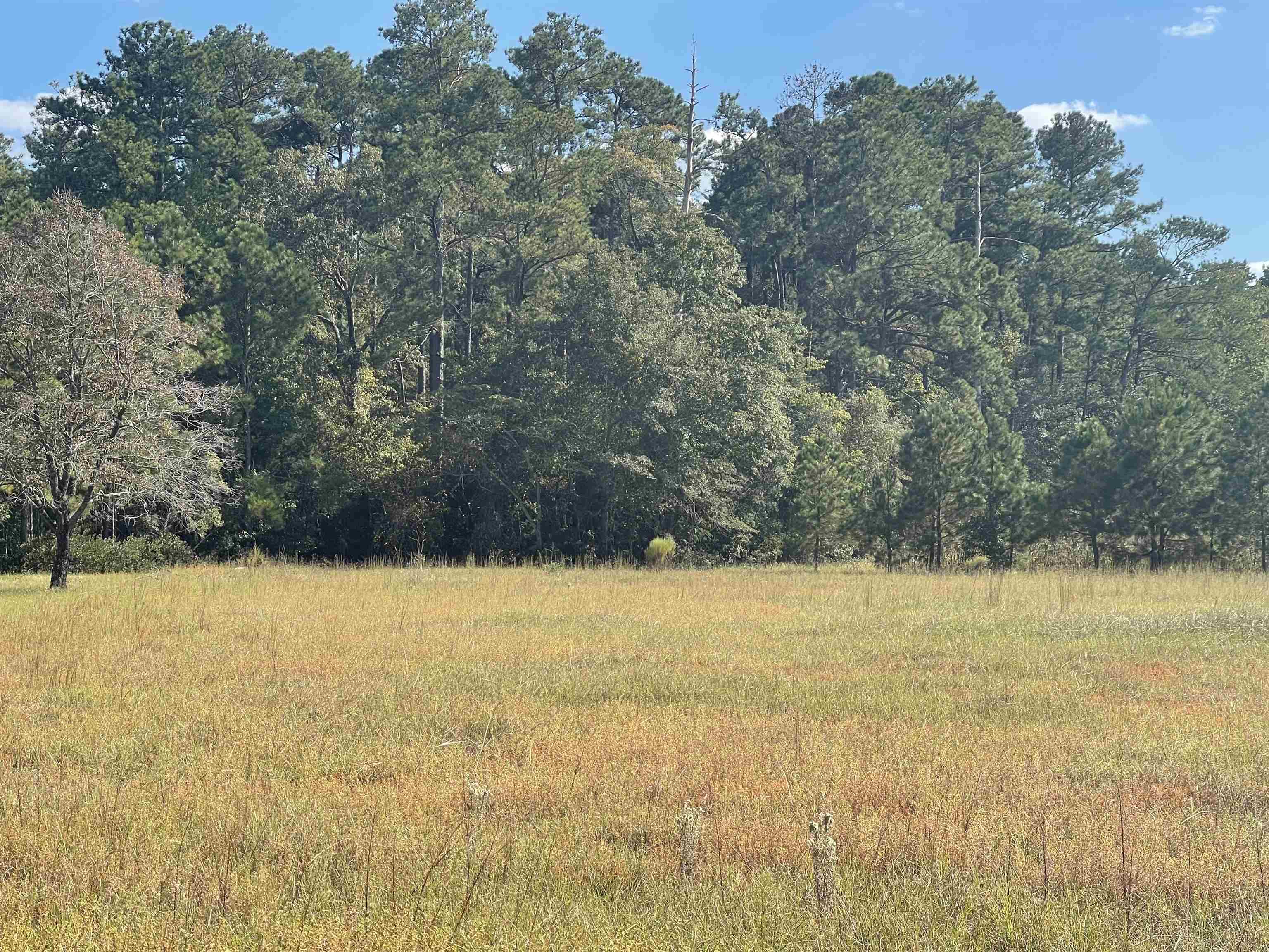 1150 Log Cabin Rd. Property Photo 7