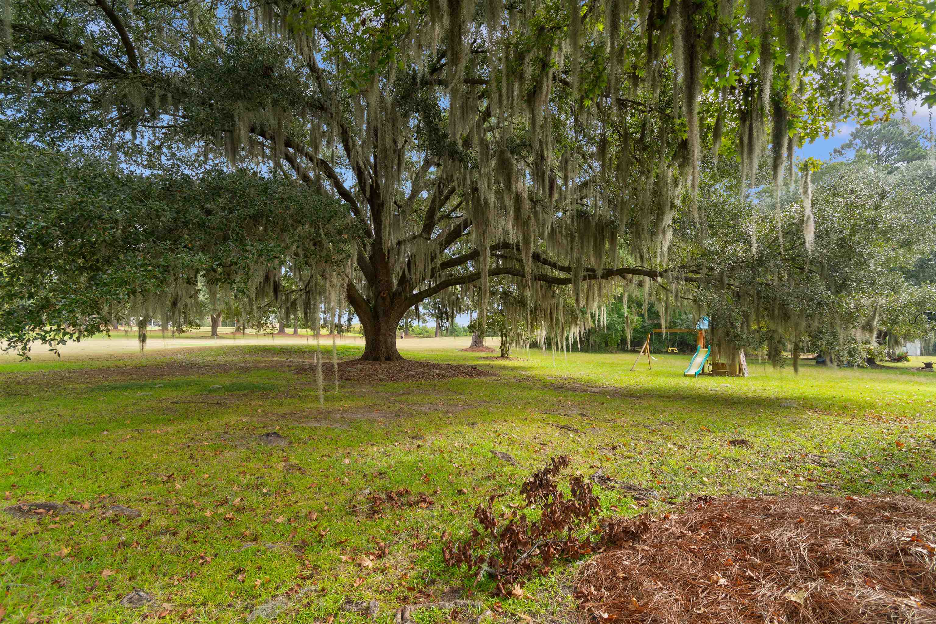 56 Robert Conway Ct. Property Photo 30