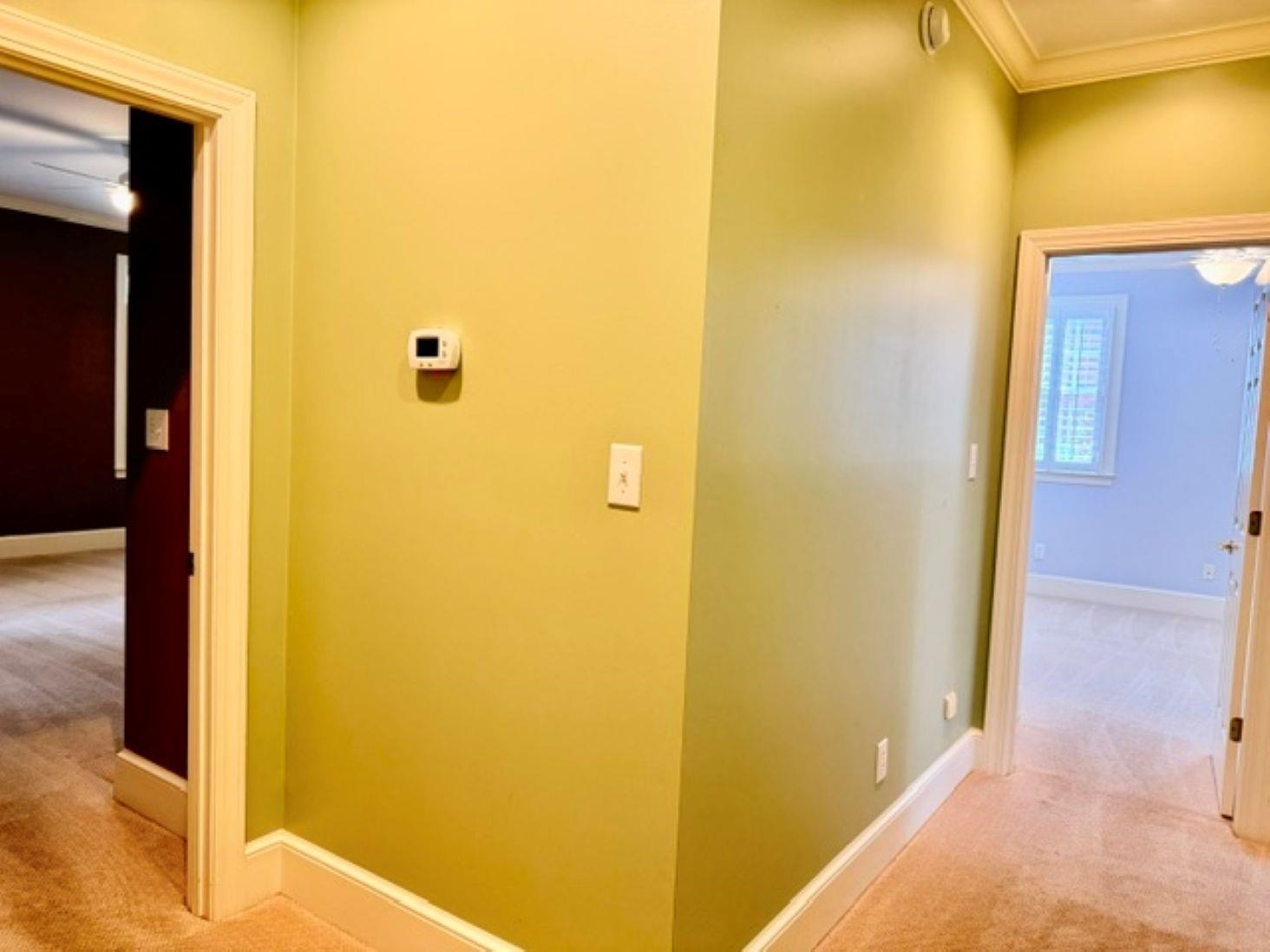 1313 Royal Devon Dr. Property Photo 55
