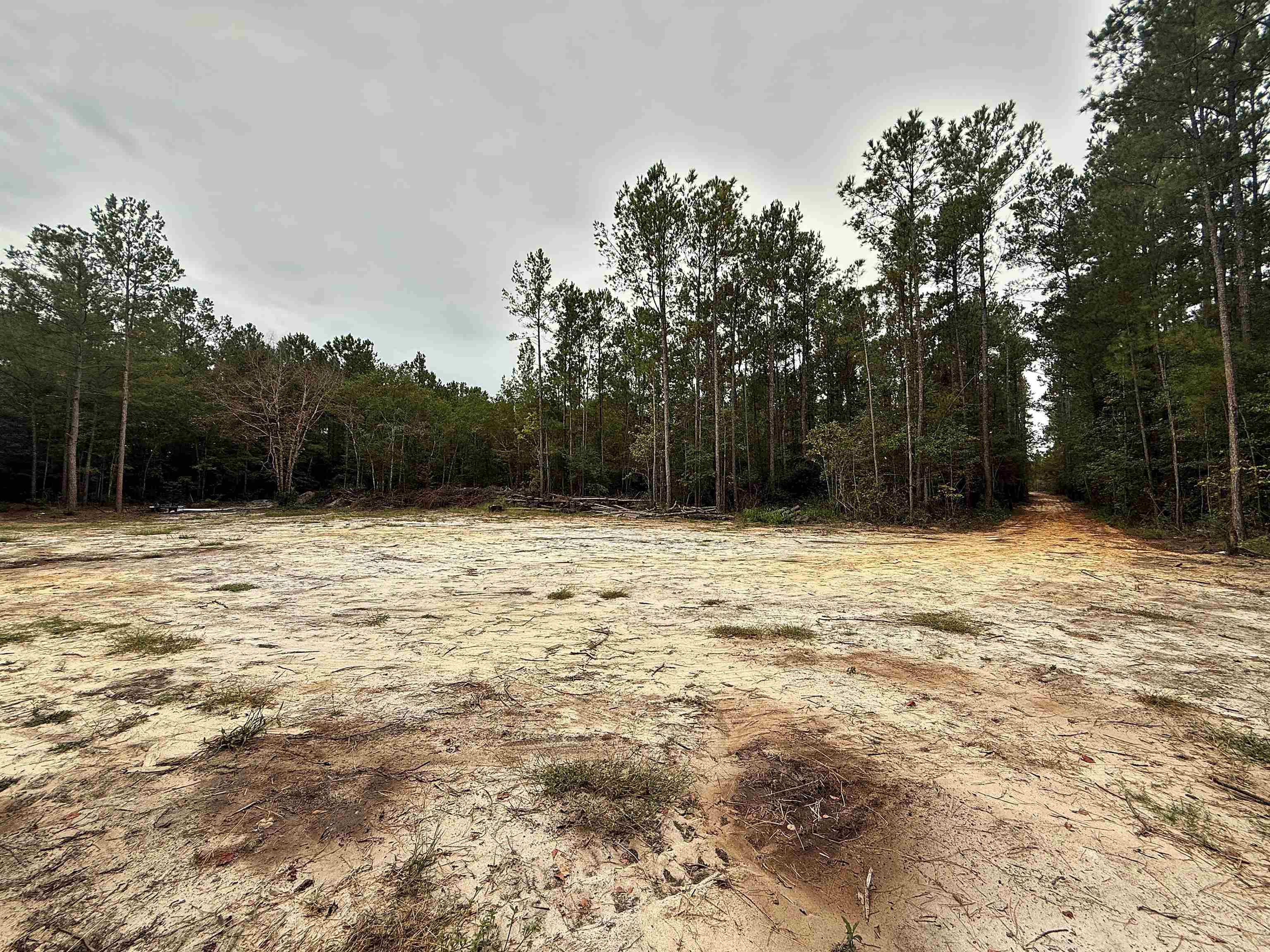 1682 Carriage Dr. Property Photo 1