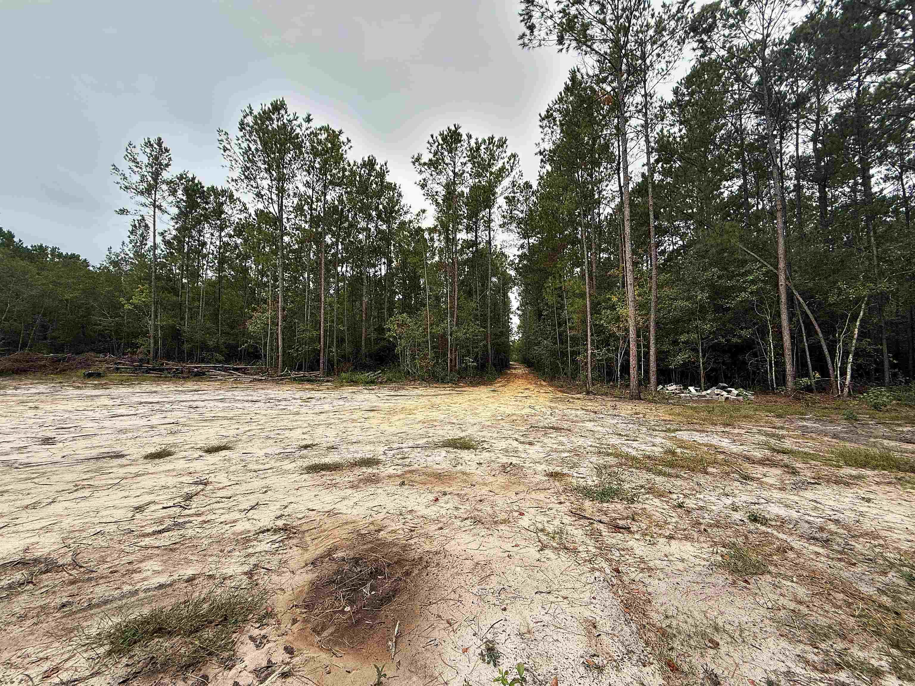 1682 Carriage Dr. Property Photo 2