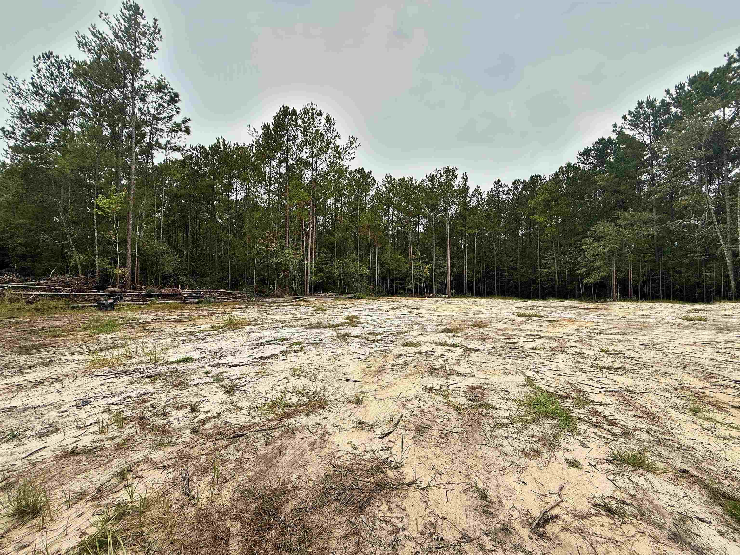 1682 Carriage Dr. Property Photo 3