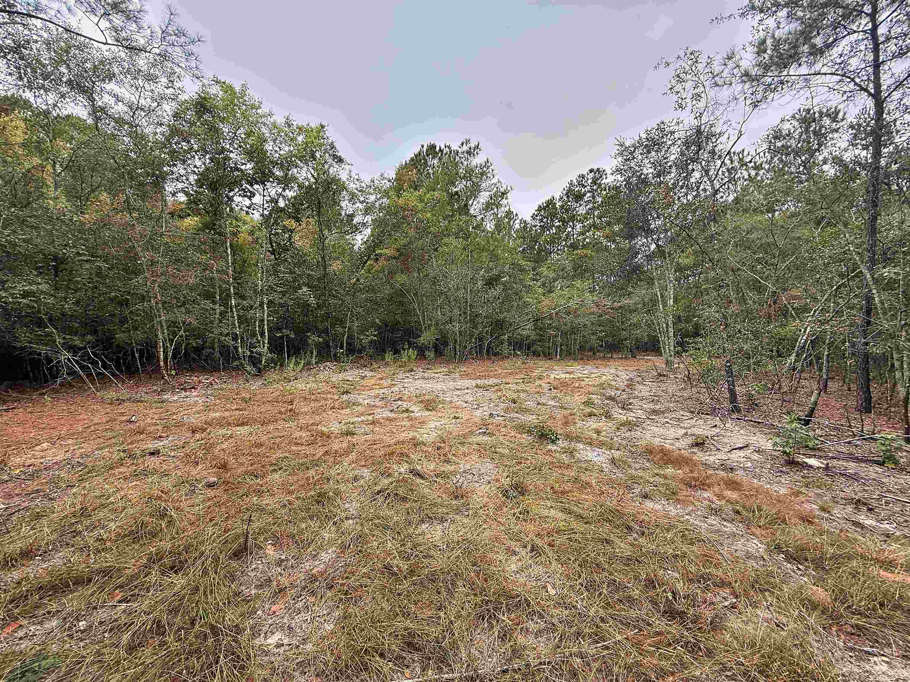 1682 Carriage Dr. Property Photo 4