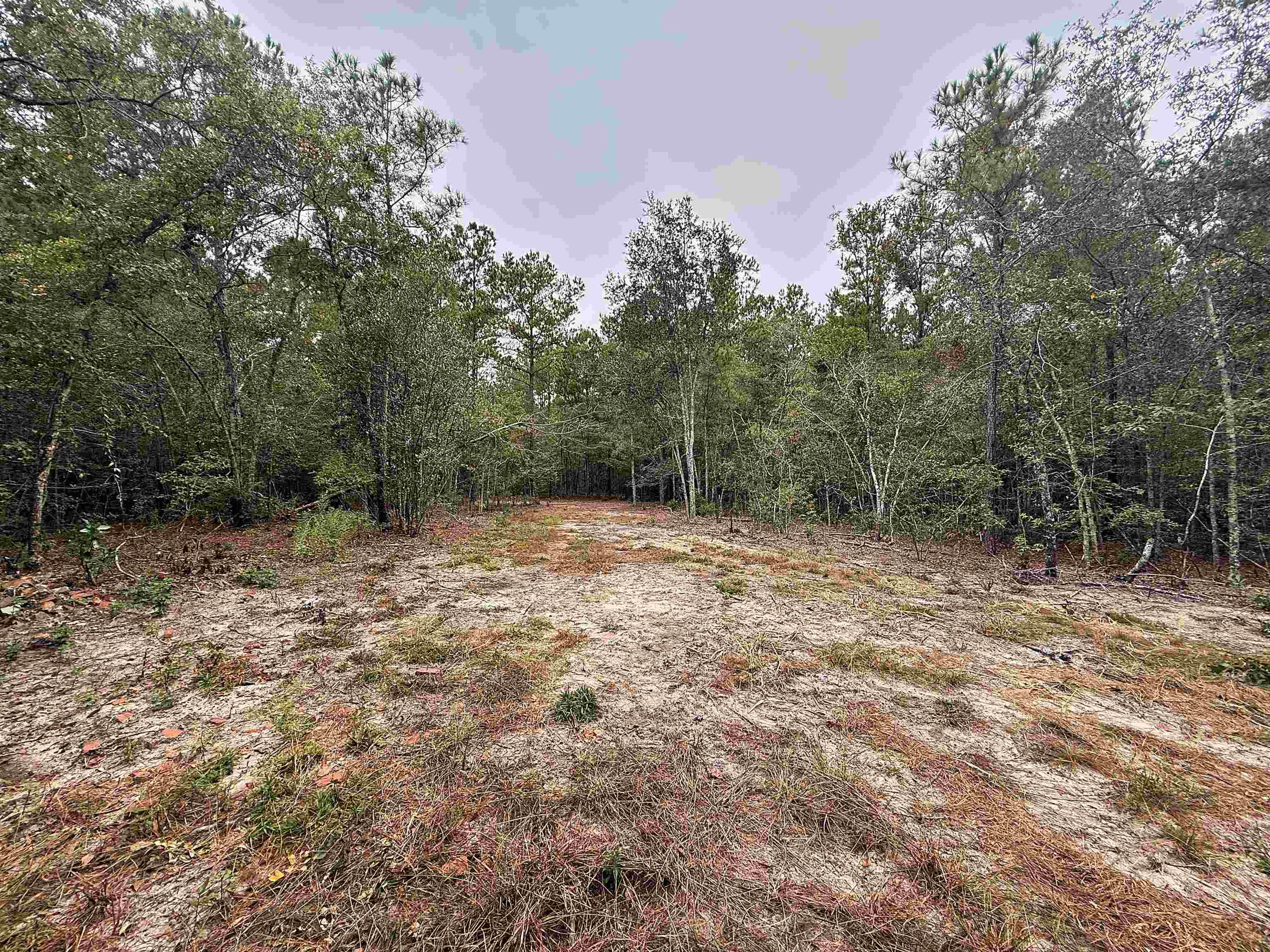 1682 Carriage Dr. Property Photo 5