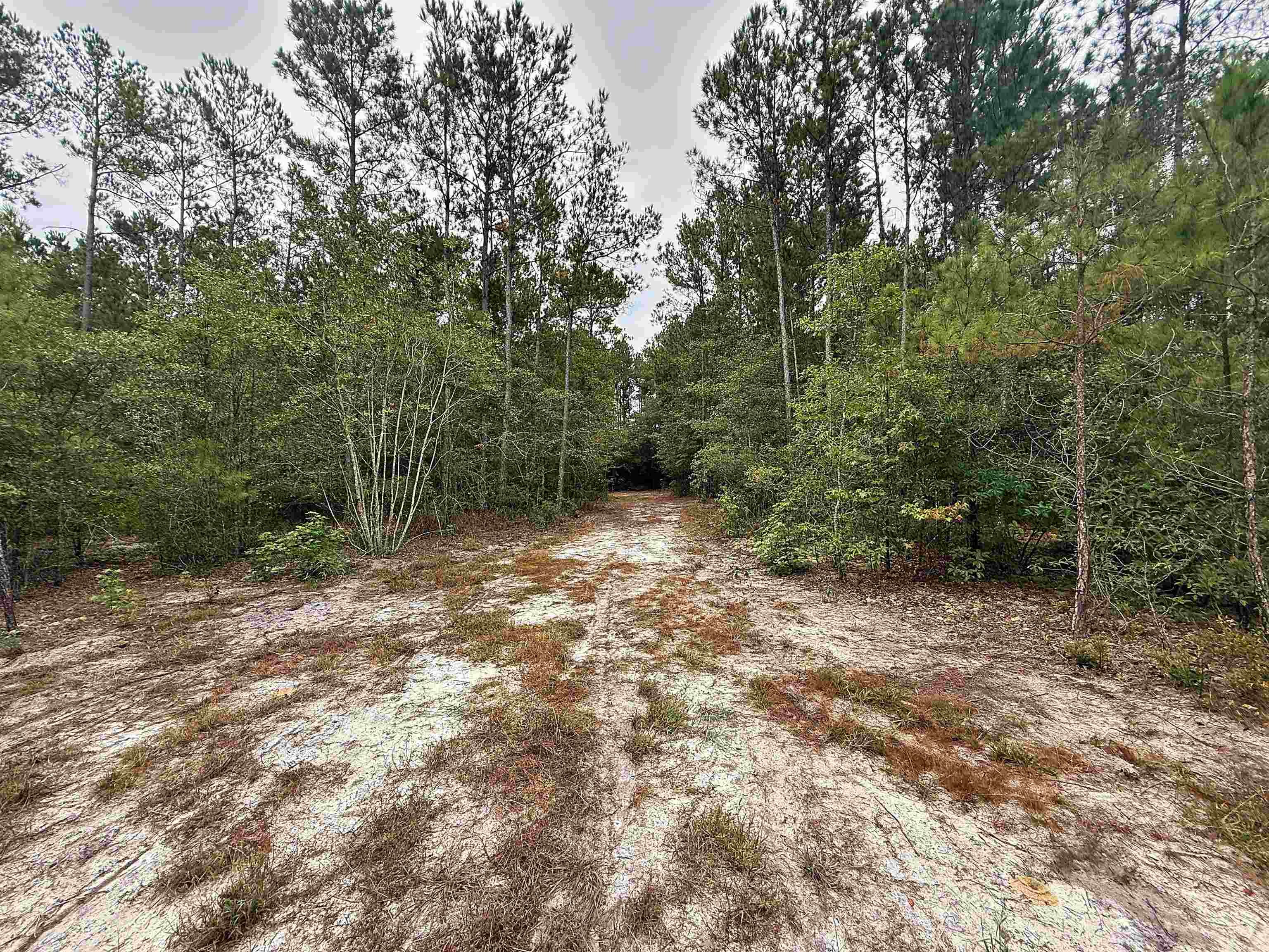 1682 Carriage Dr. Property Photo 7