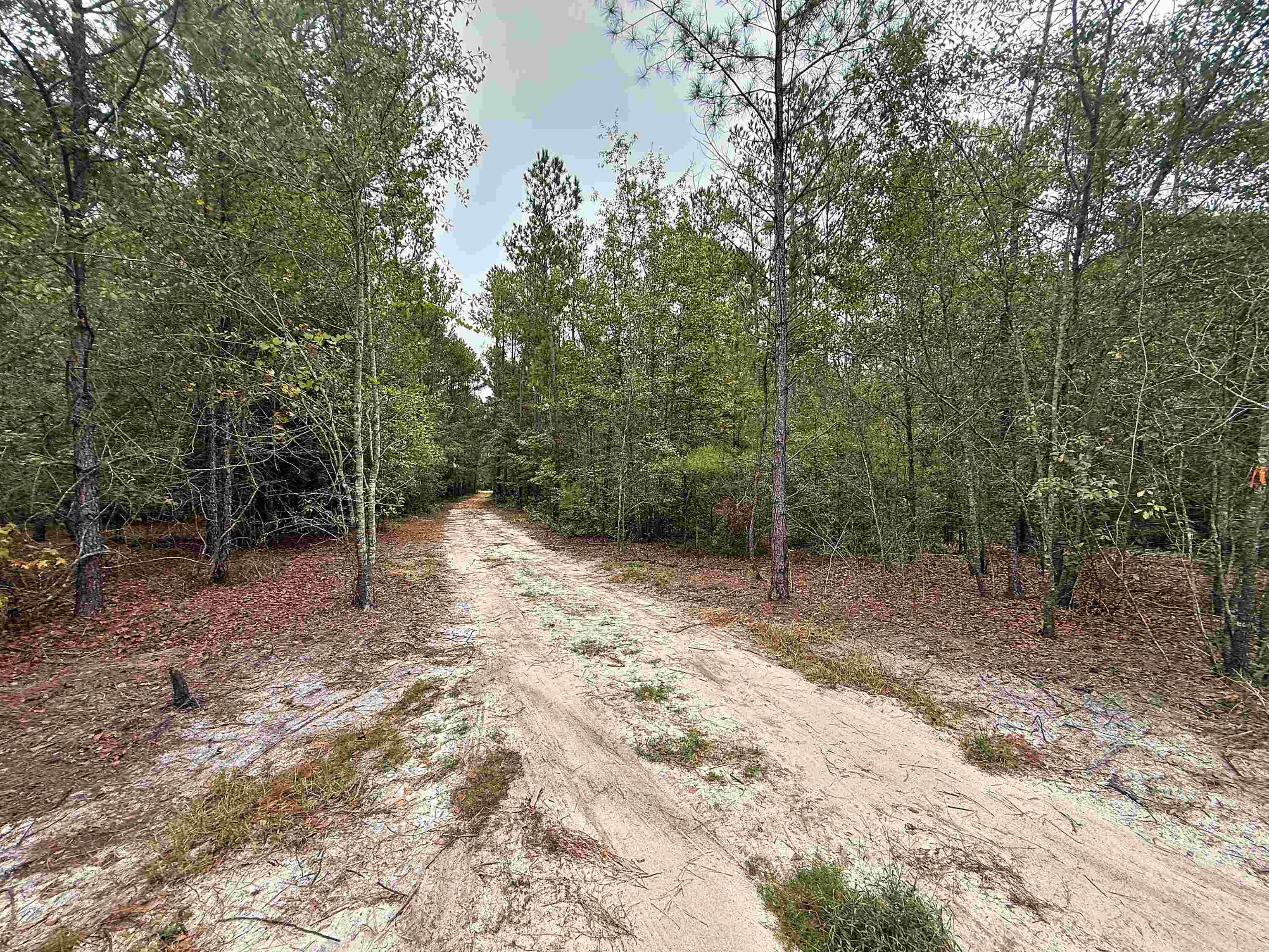 1682 Carriage Dr. Property Photo 8