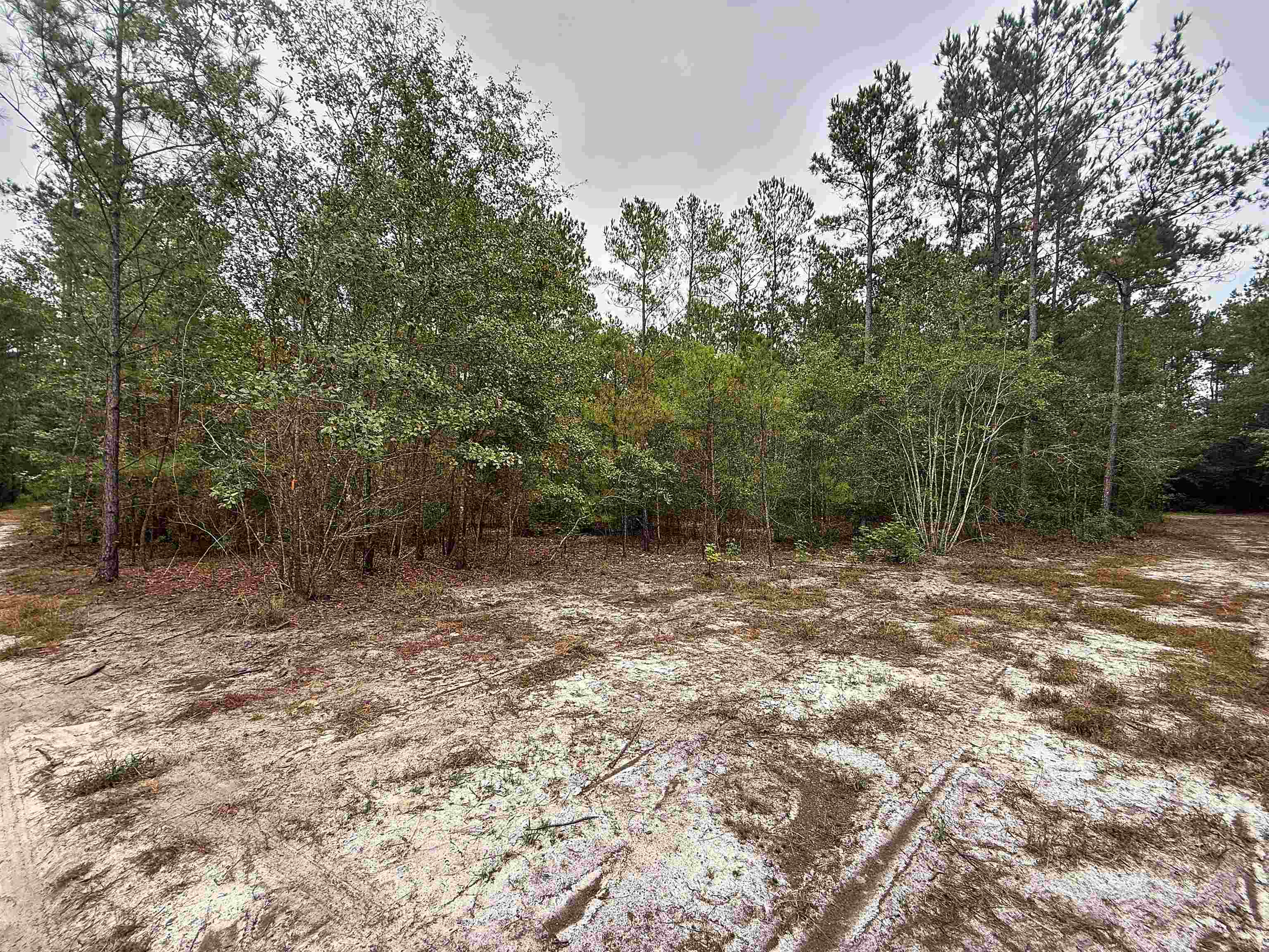 1682 Carriage Dr. Property Photo 9