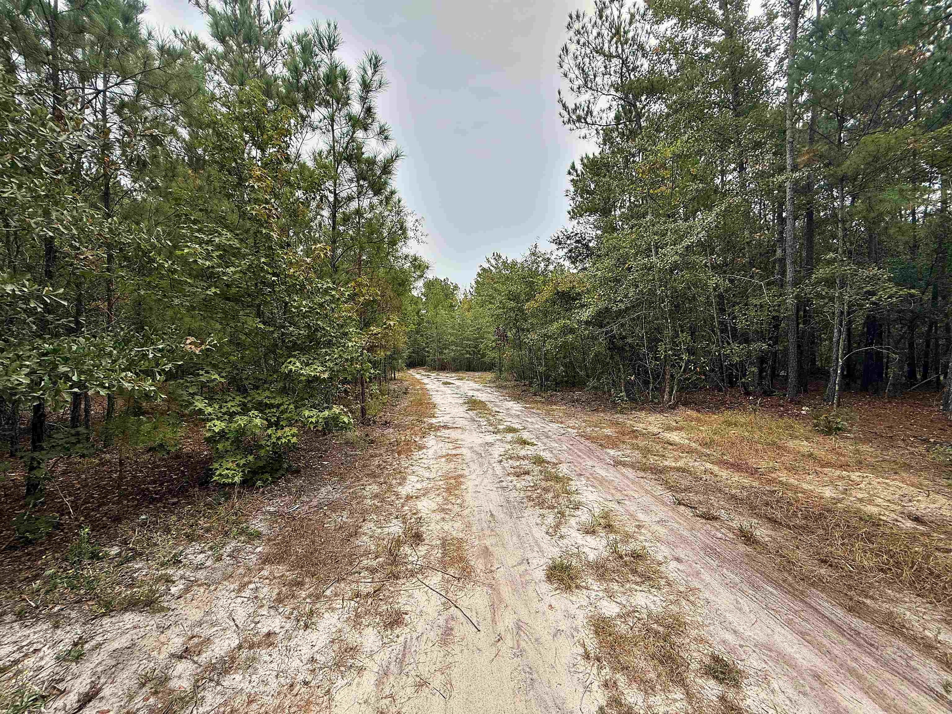 1682 Carriage Dr. Property Photo 10