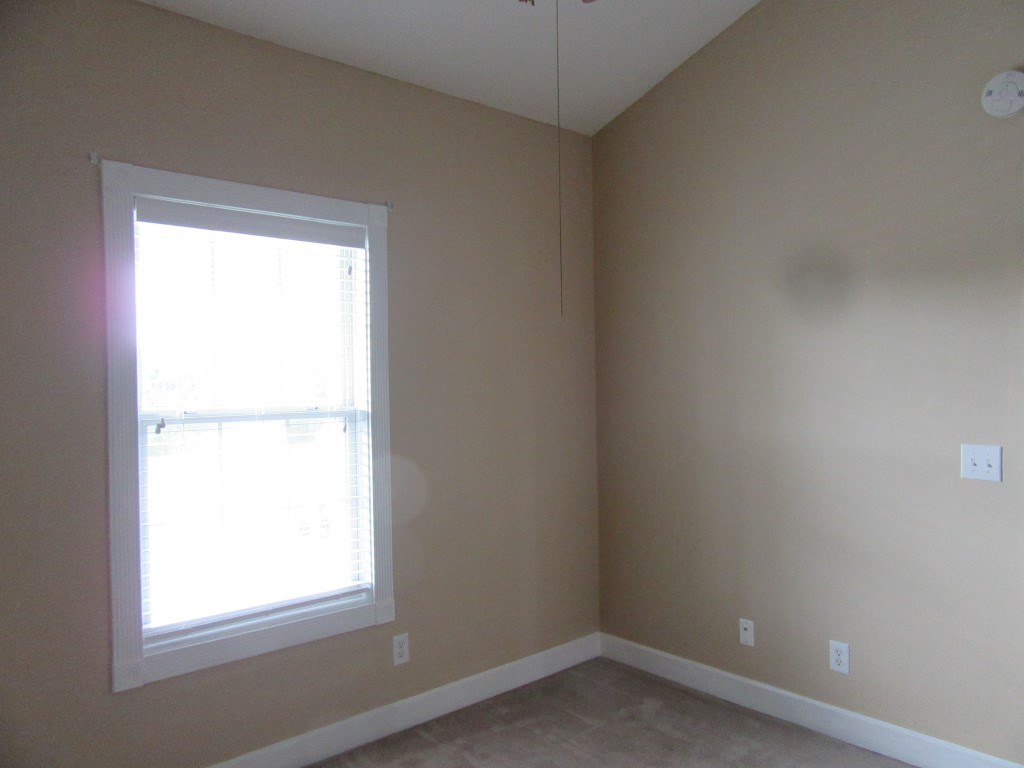 4149 Hibiscus Dr. Property Photo 10