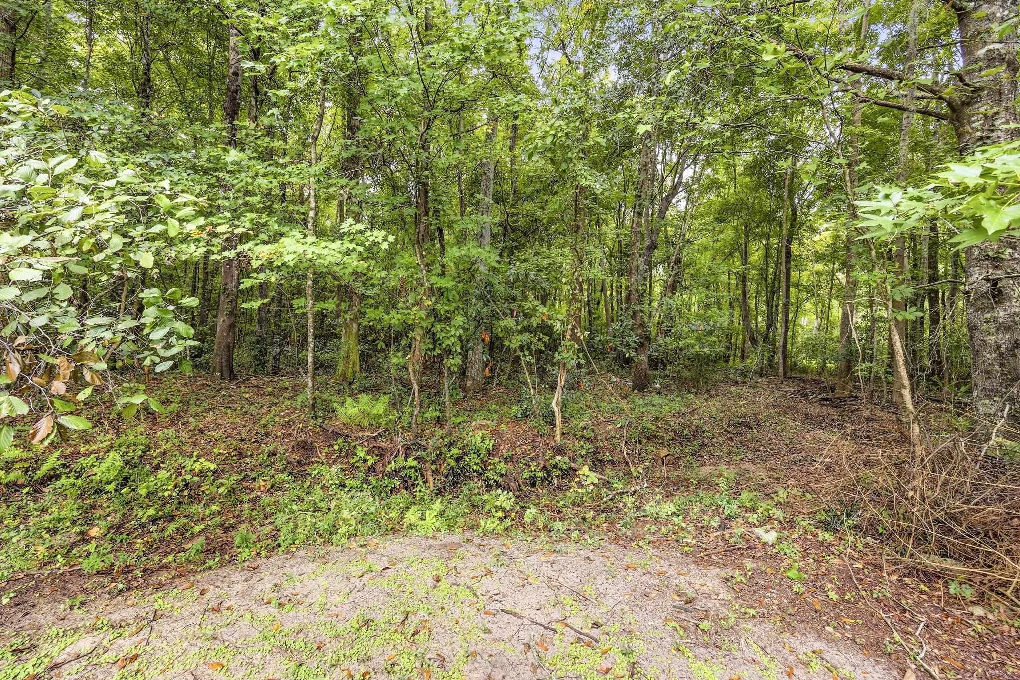500 Southern Pines Dr. Property Photo 31