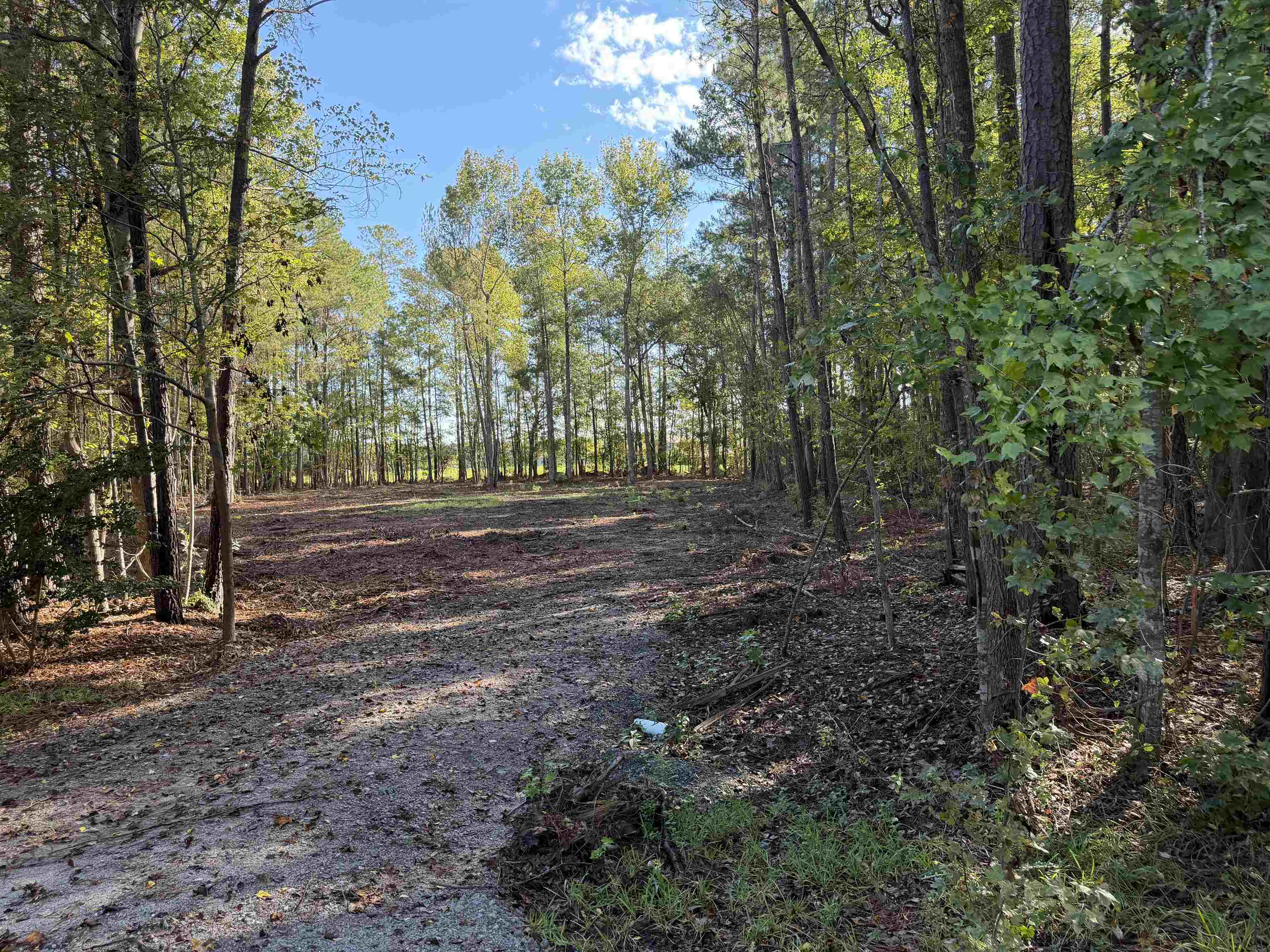 Tract 1 Wise Rd. Property Photo 1