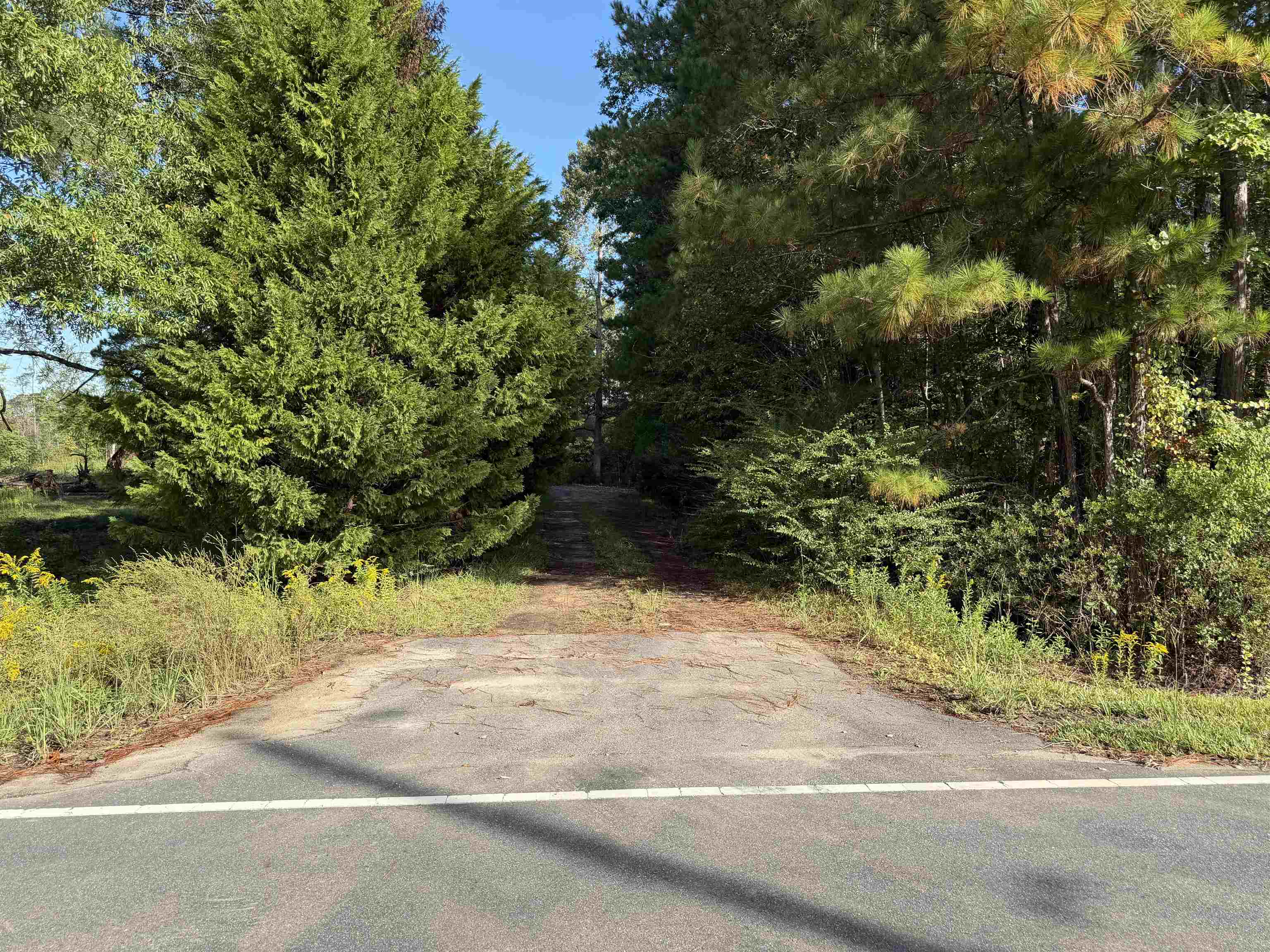 Tract 1 Wise Rd. Property Photo 5
