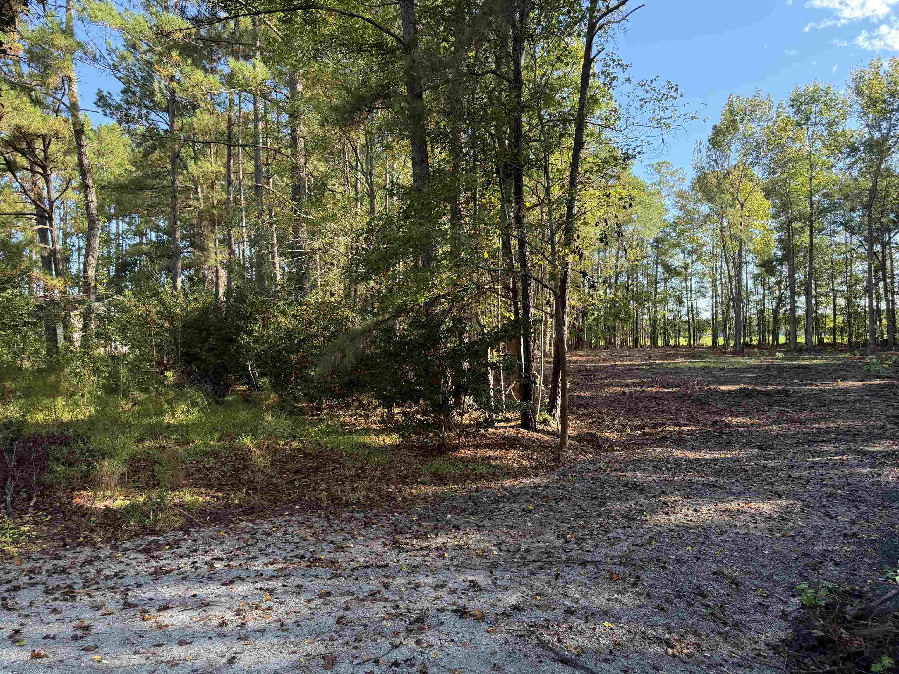 Tract 1 Wise Rd. Property Photo 6
