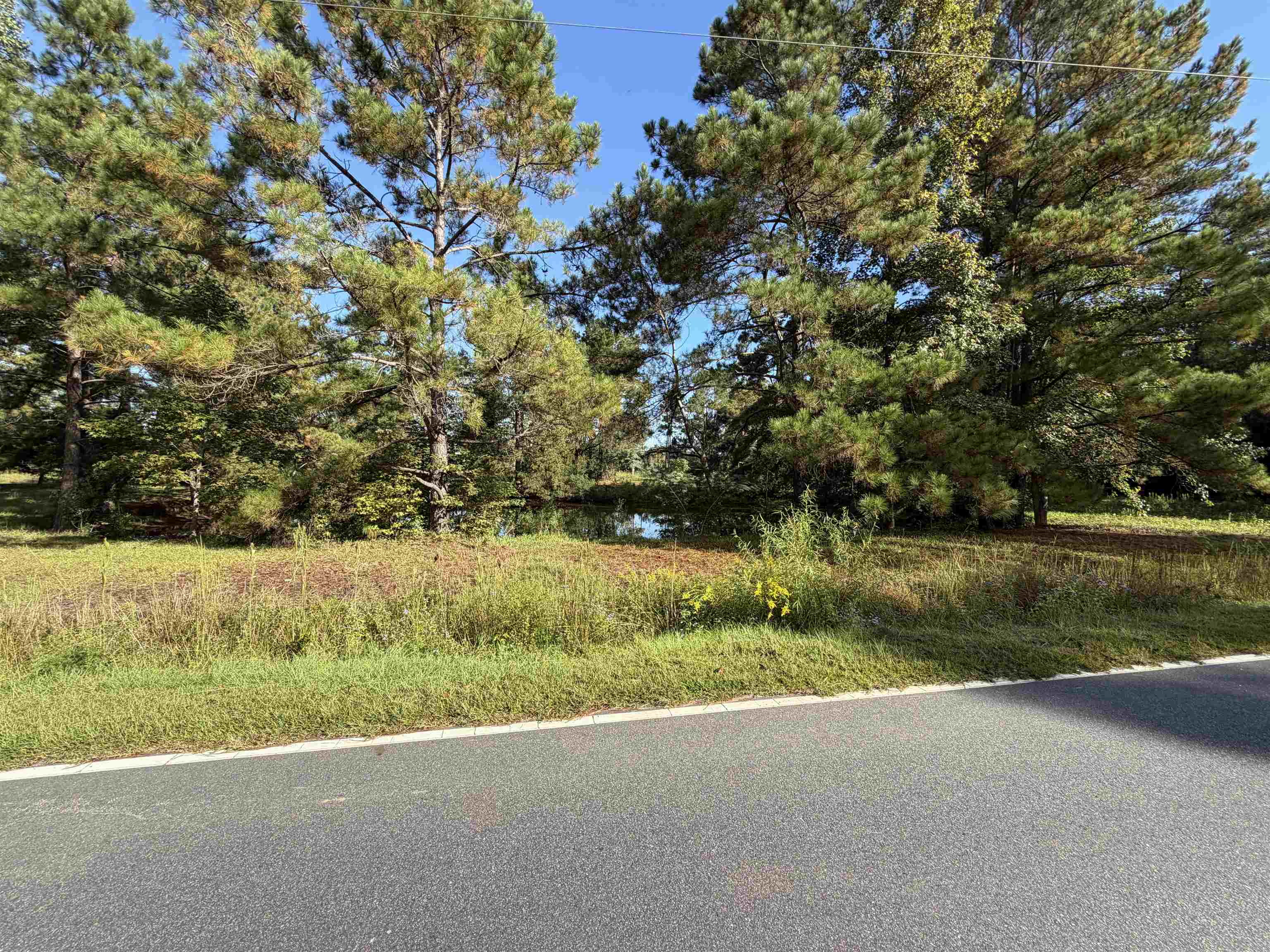 Tract 2 Wise Rd. Property Photo 1