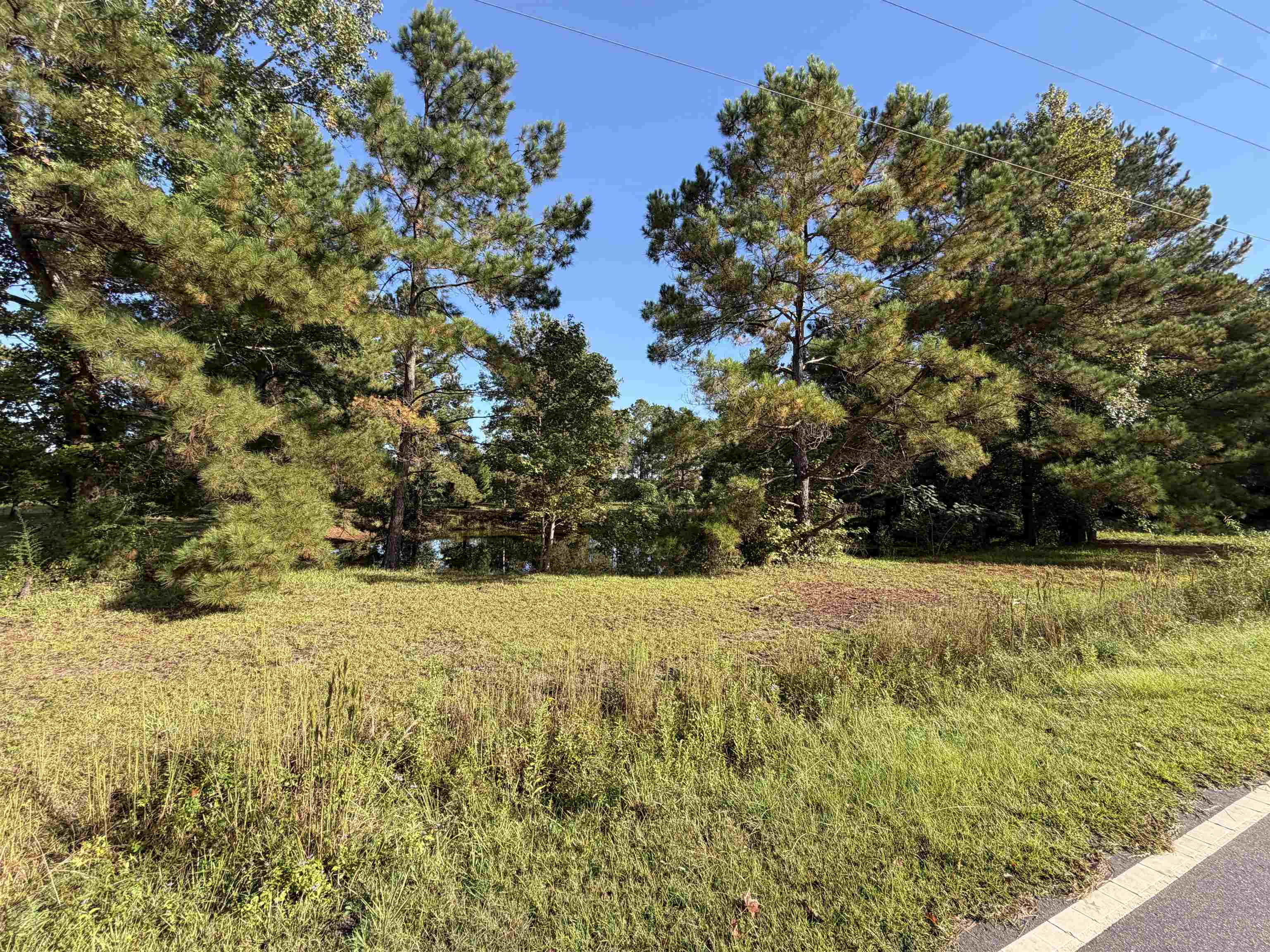 Tract 2 Wise Rd. Property Photo 2