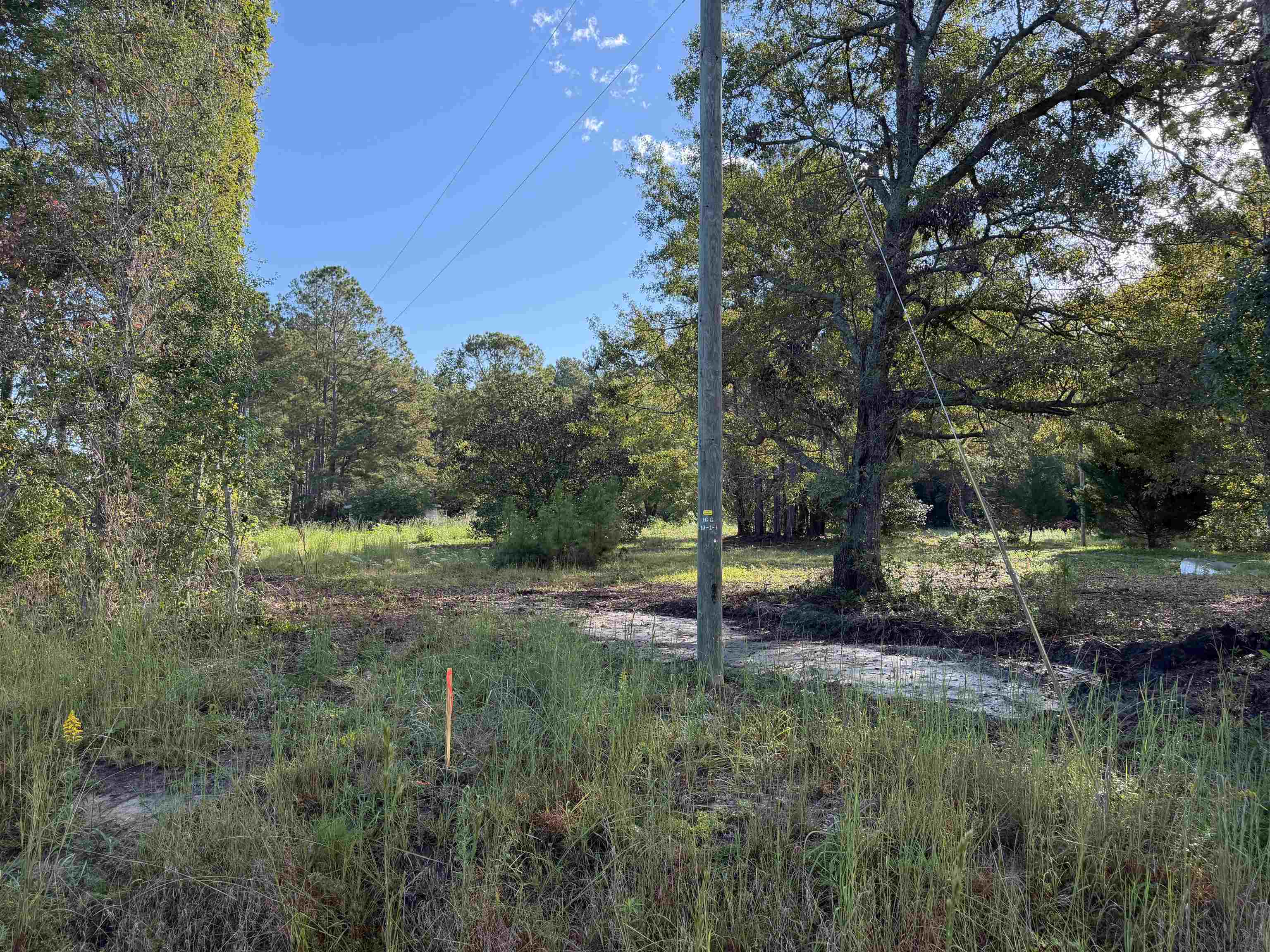 Tract 2 Wise Rd. Property Photo 3