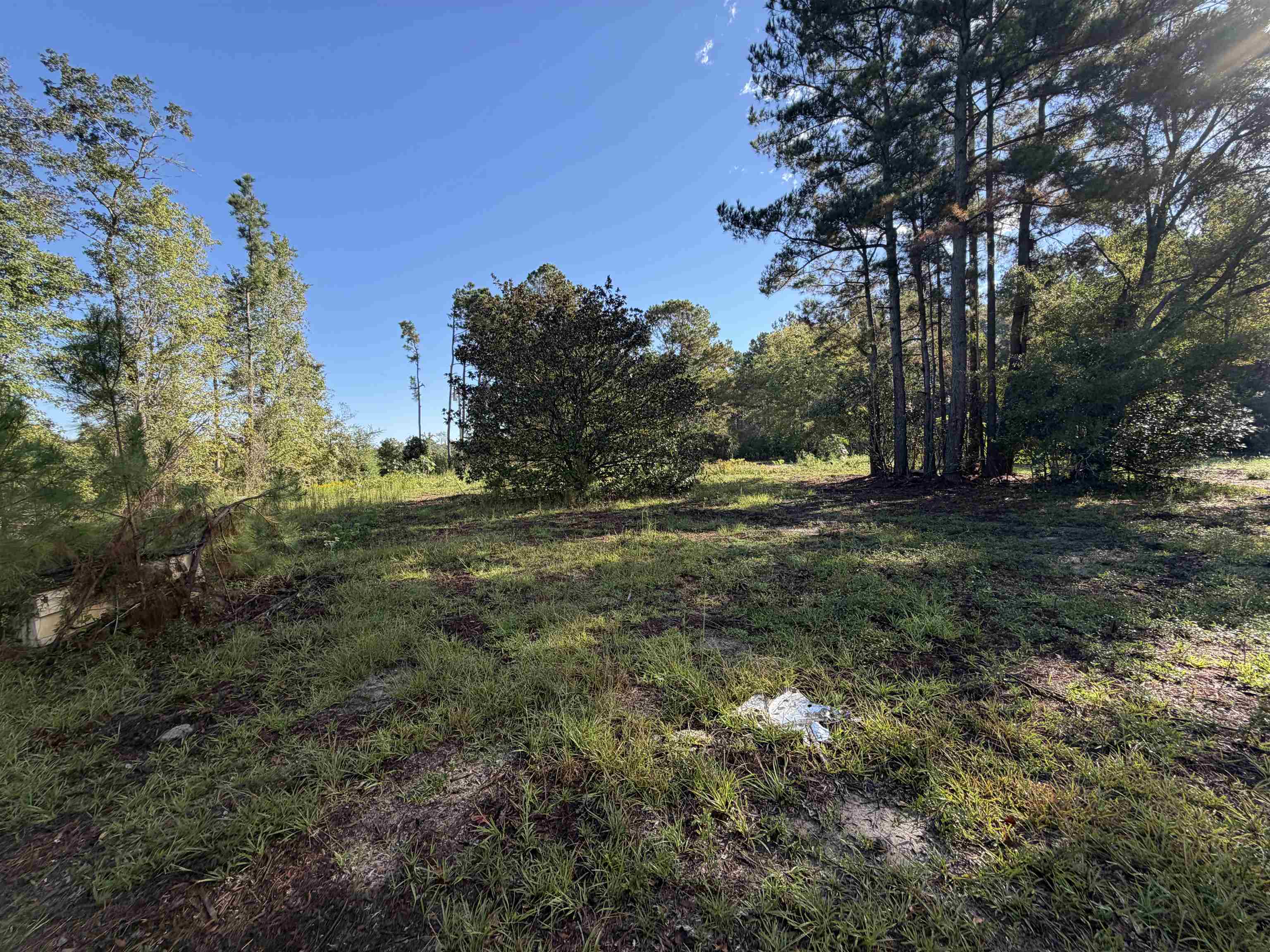 Tract 2 Wise Rd. Property Photo 4