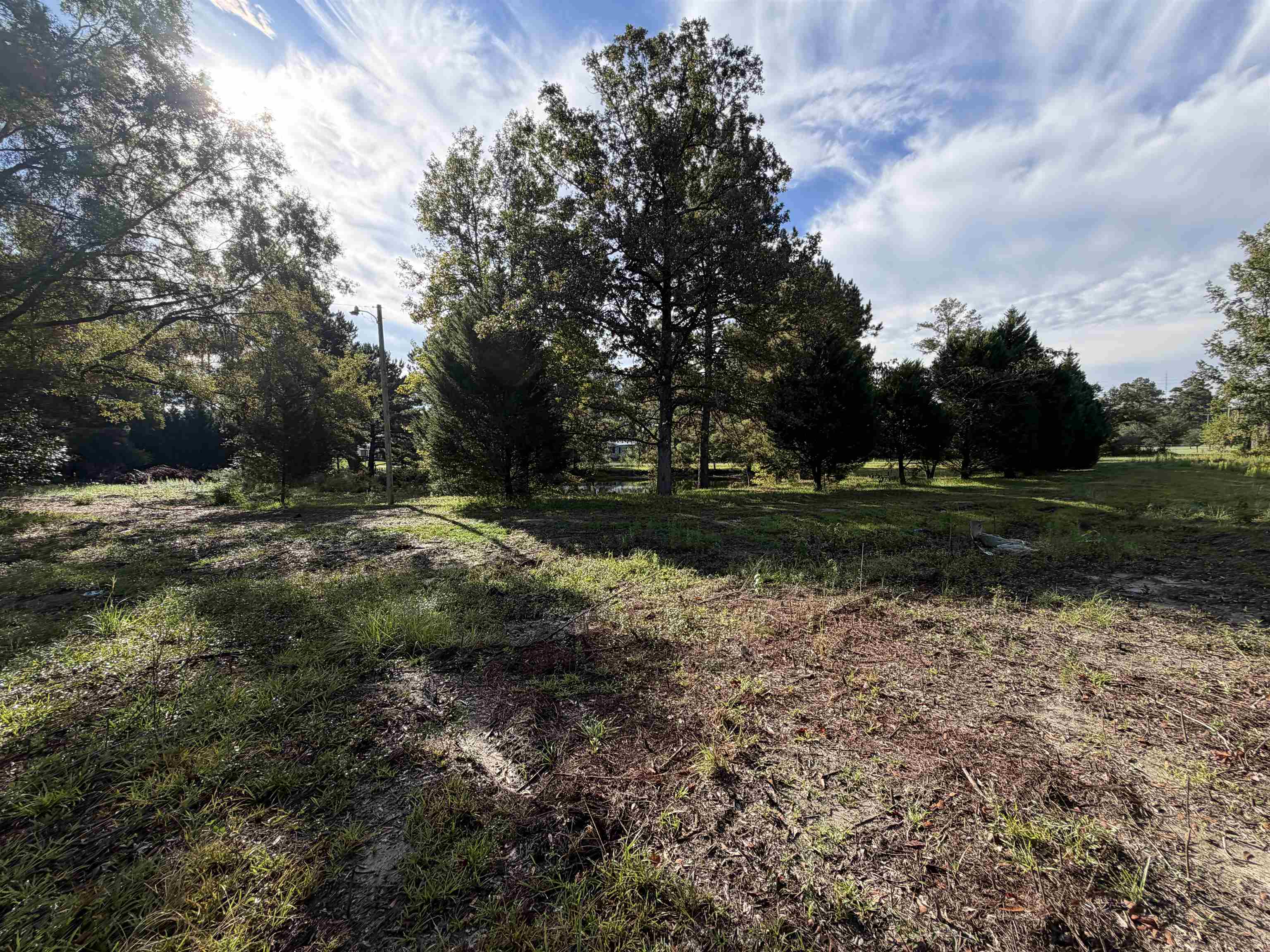 Tract 2 Wise Rd. Property Photo 5