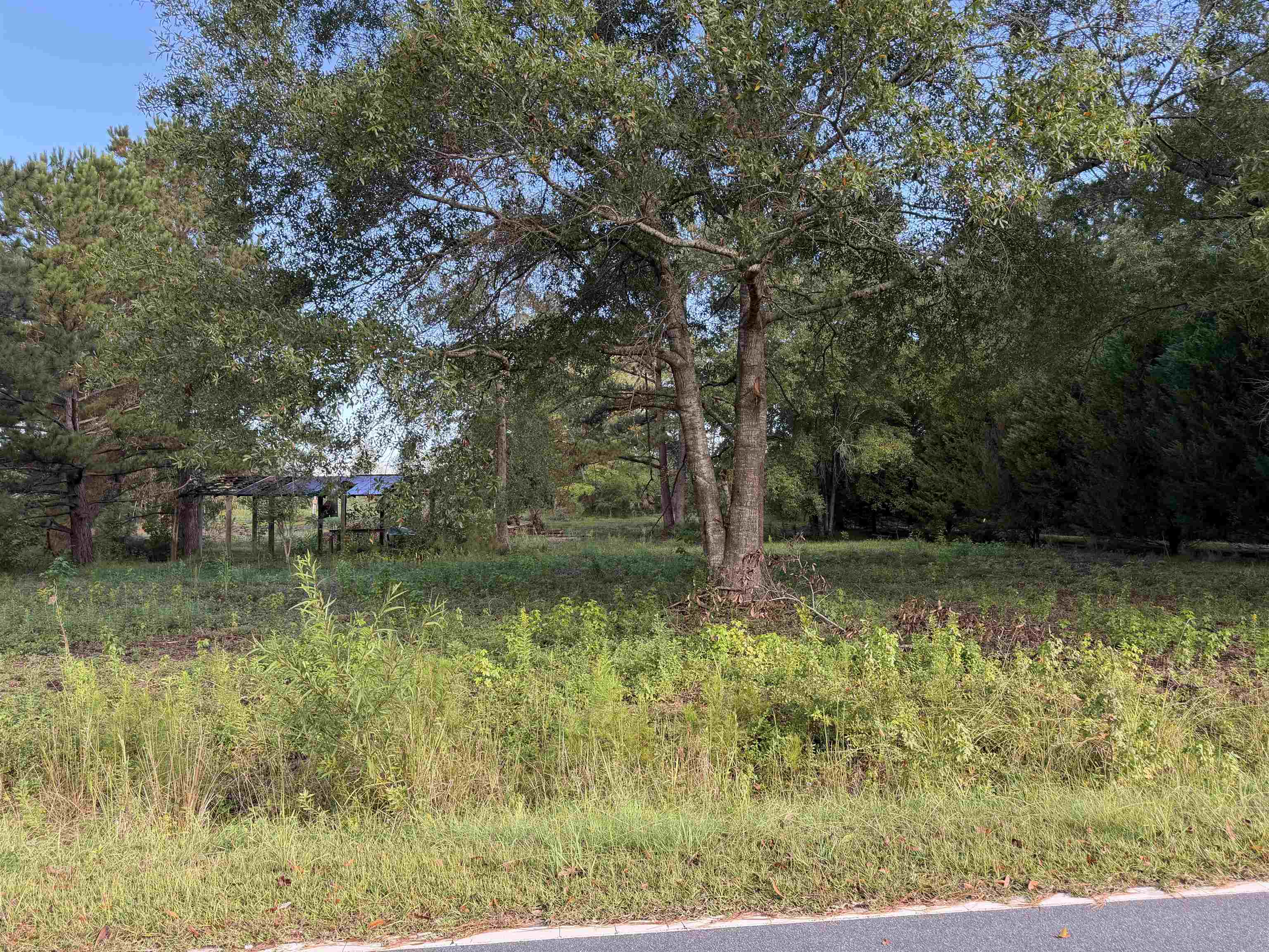 Tract 3 Wise Rd. Property Photo 1