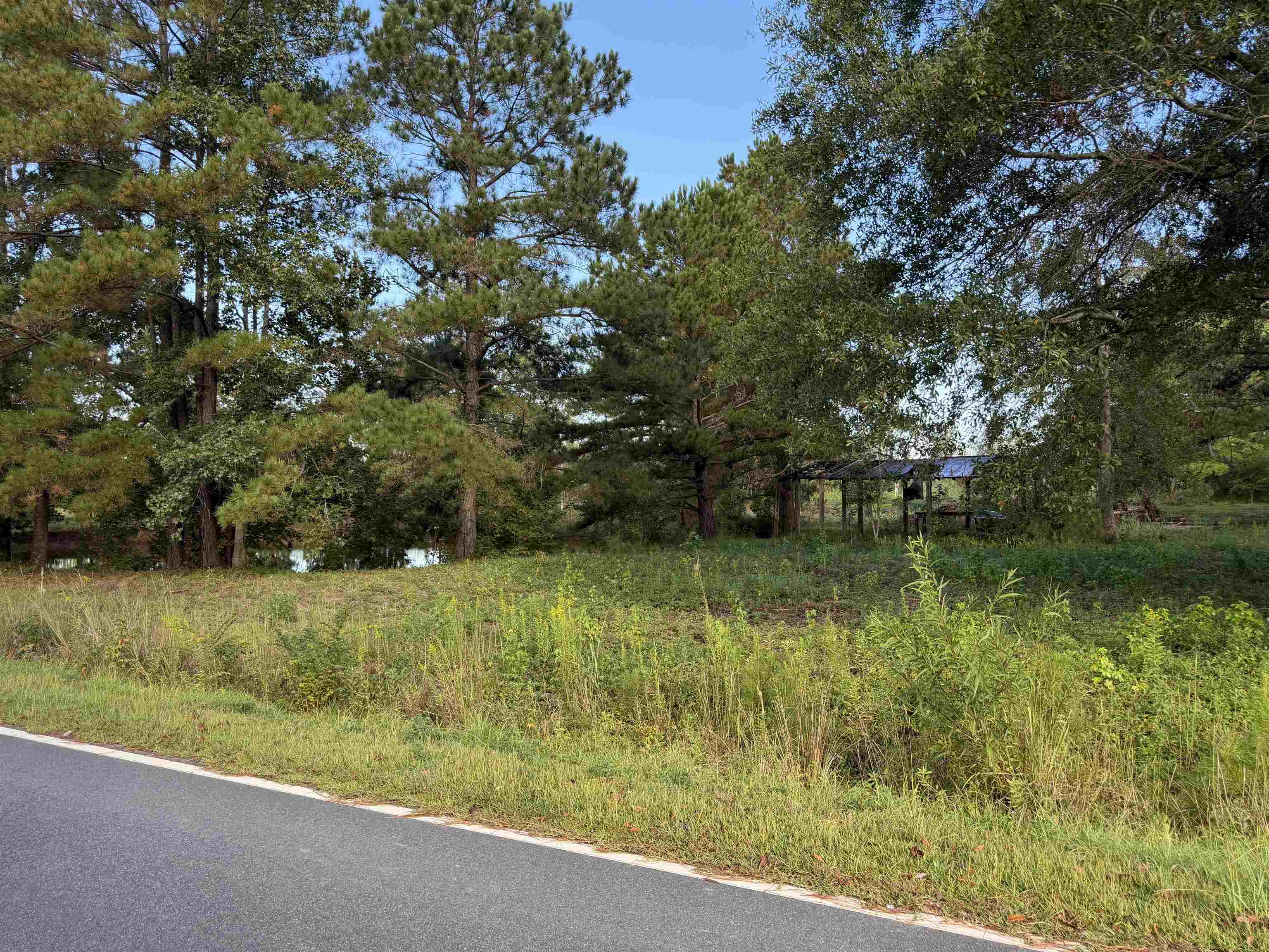 Tract 3 Wise Rd. Property Photo 2
