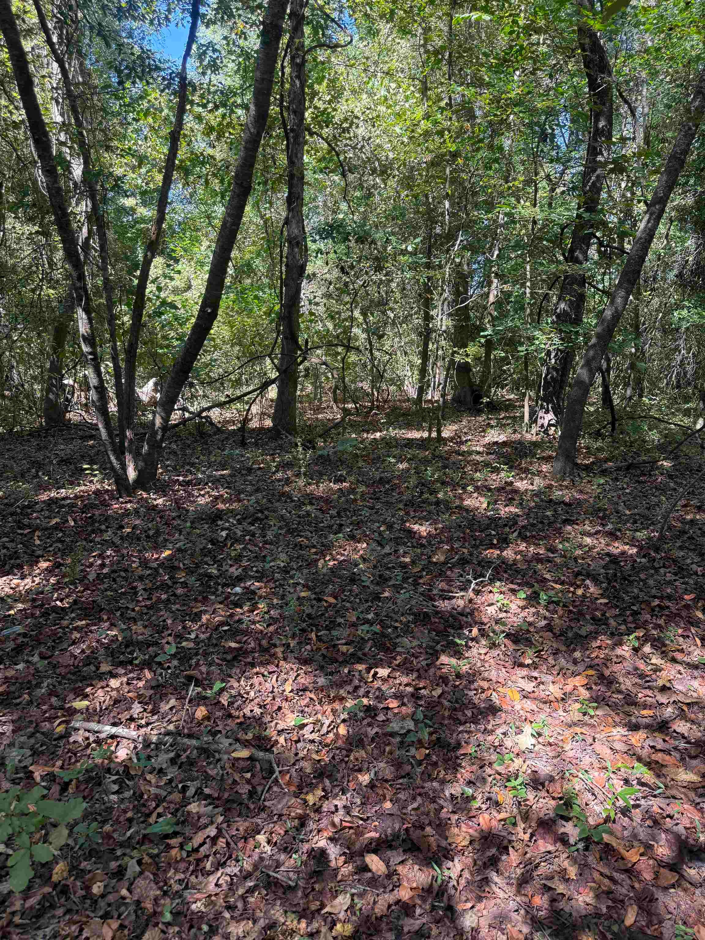 Tbd Tyler Rd. Property Photo 1