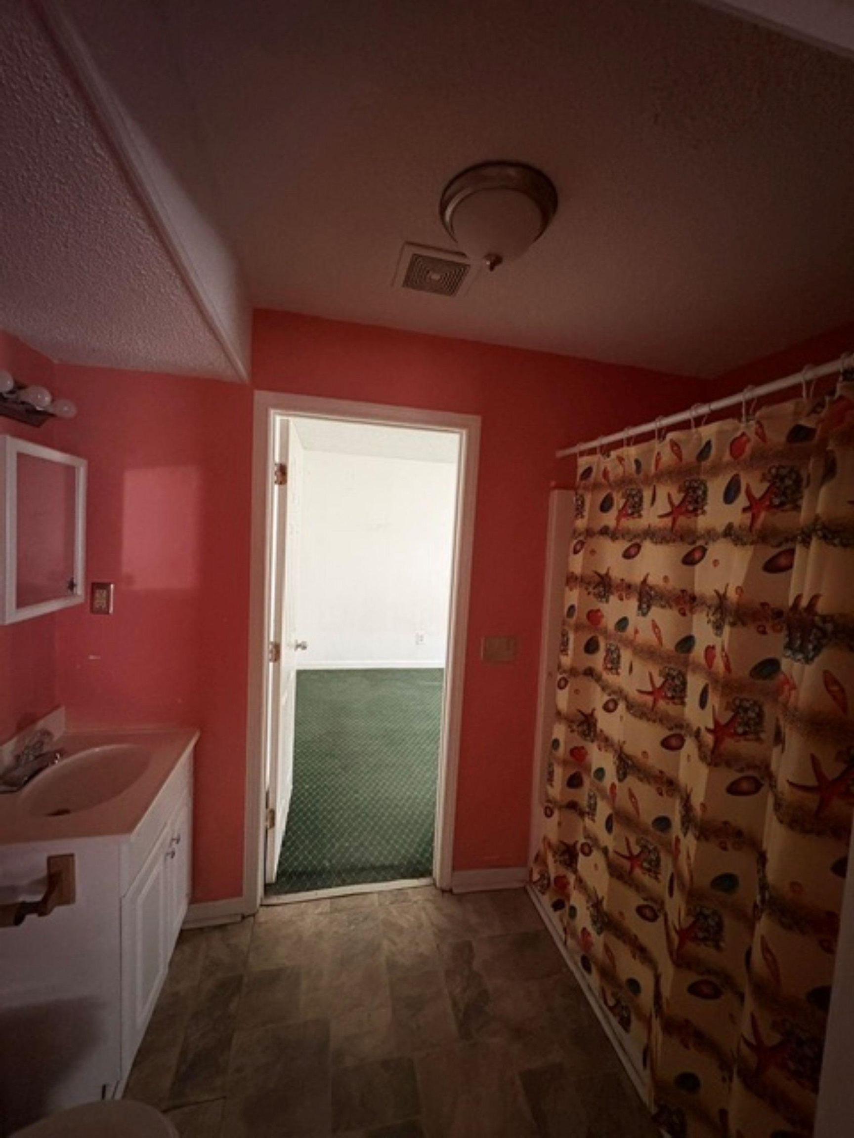 305 Chester St. Property Photo 28
