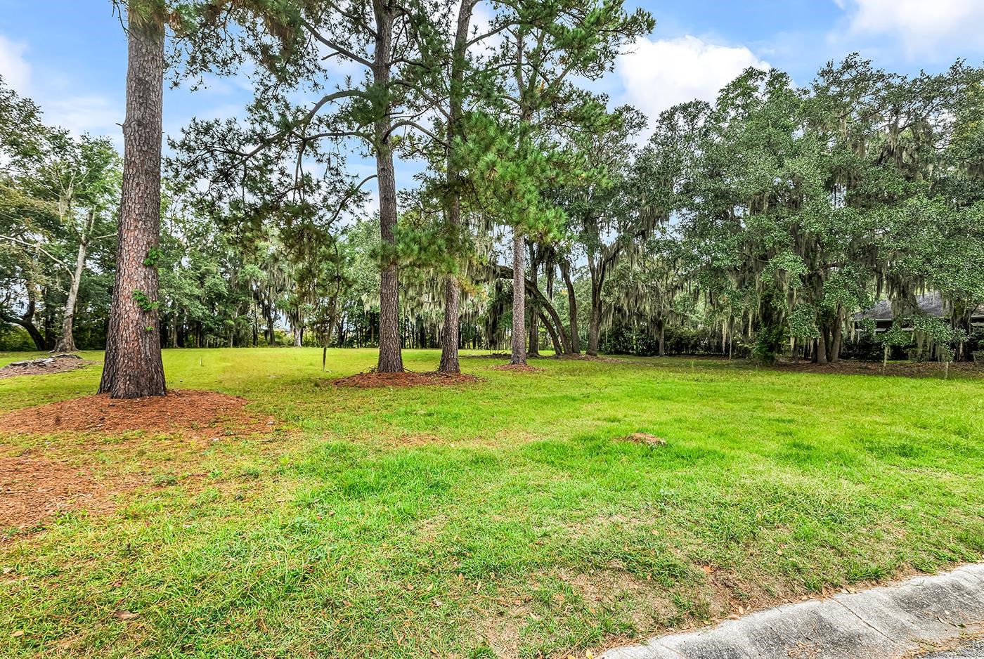 602 Chapman Loop Property Photo 1