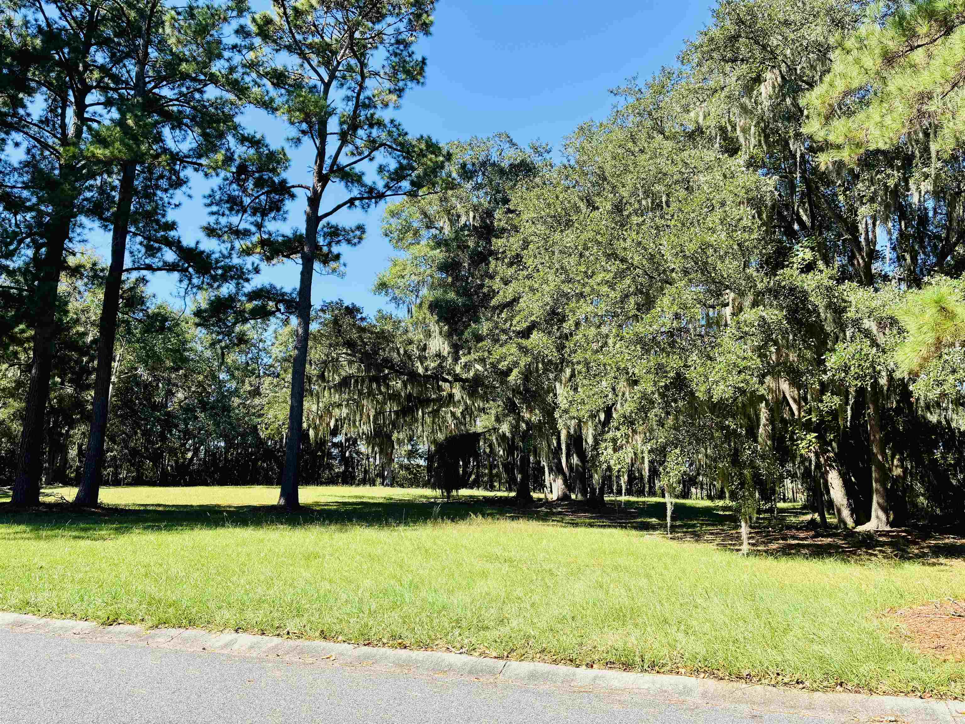 602 Chapman Loop Property Photo 3