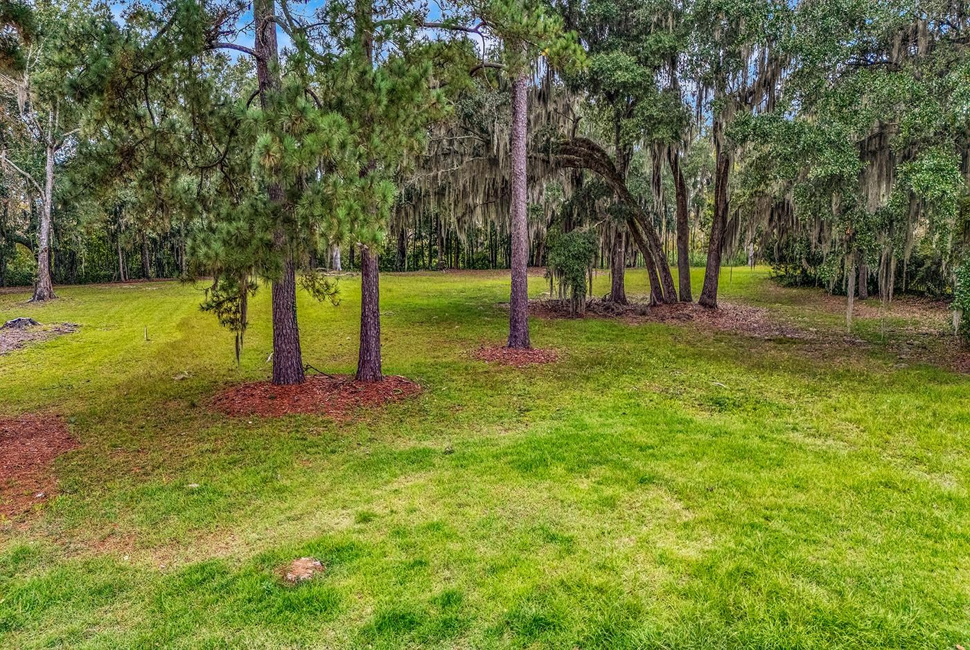 602 Chapman Loop Property Photo 4