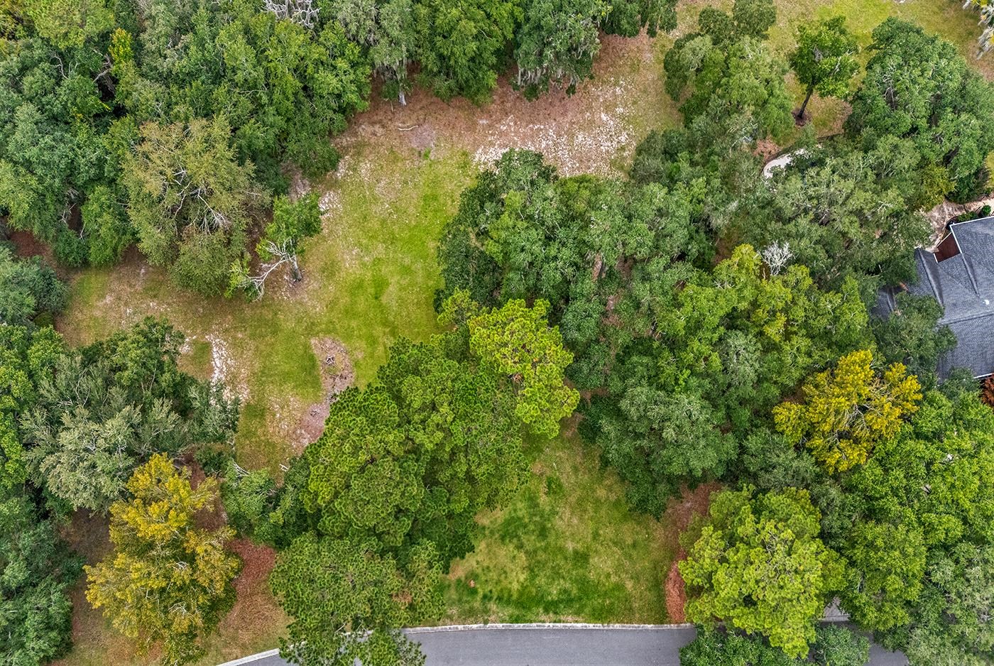 602 Chapman Loop Property Photo 5