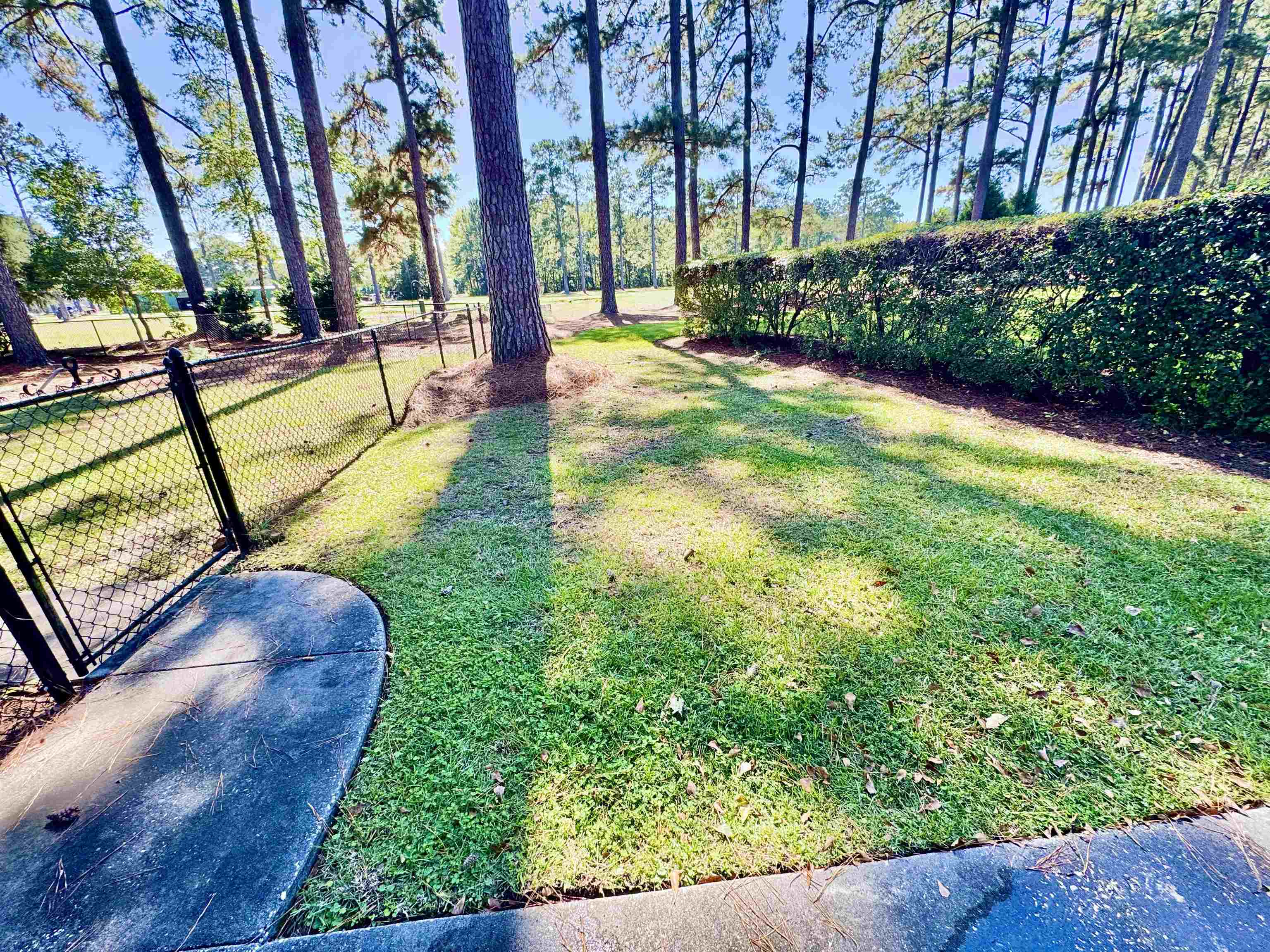 44 Patriot Ln. Property Photo 17