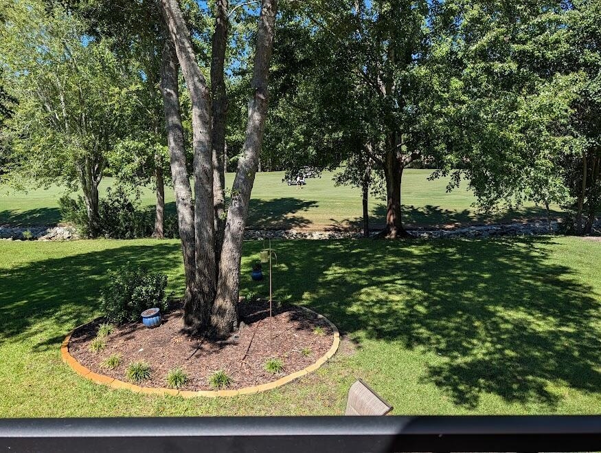 3403 Cedar Creek Run Property Photo 21