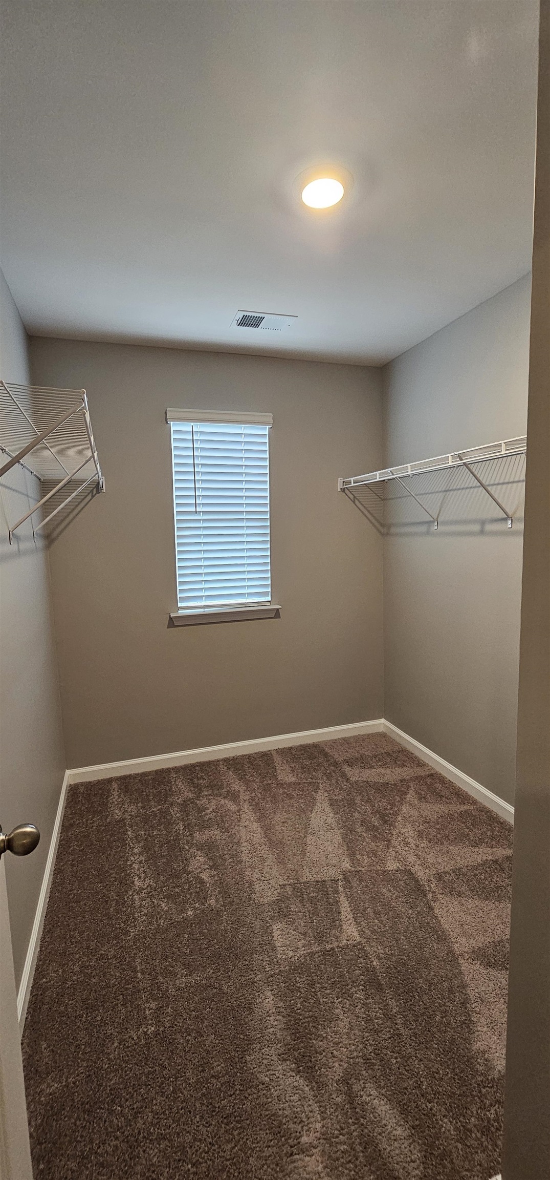 621 Talisman Trail Property Photo 41