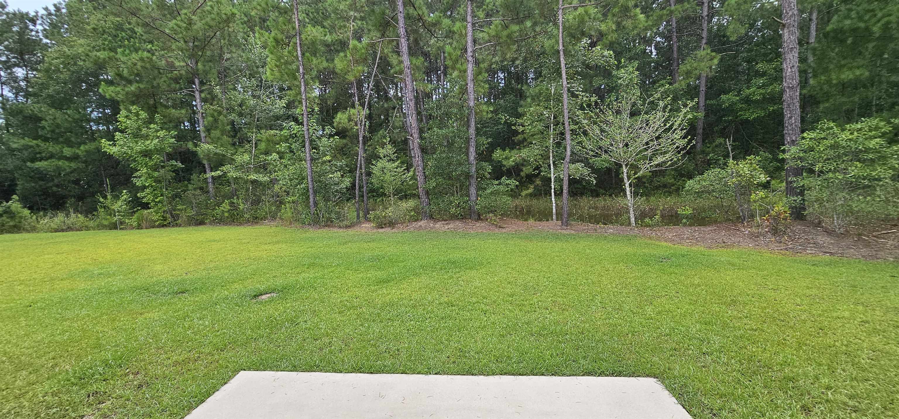 621 Talisman Trail Property Photo 47