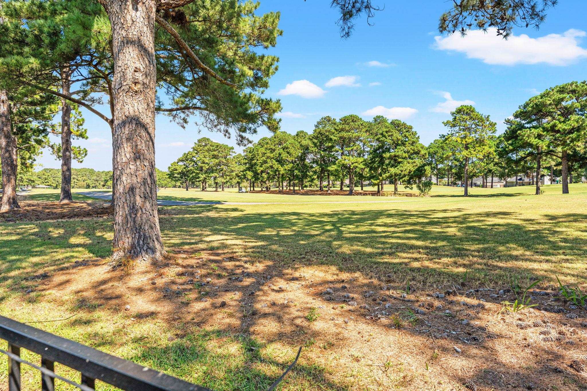 2849 Old Bryan Dr. Property Photo 59