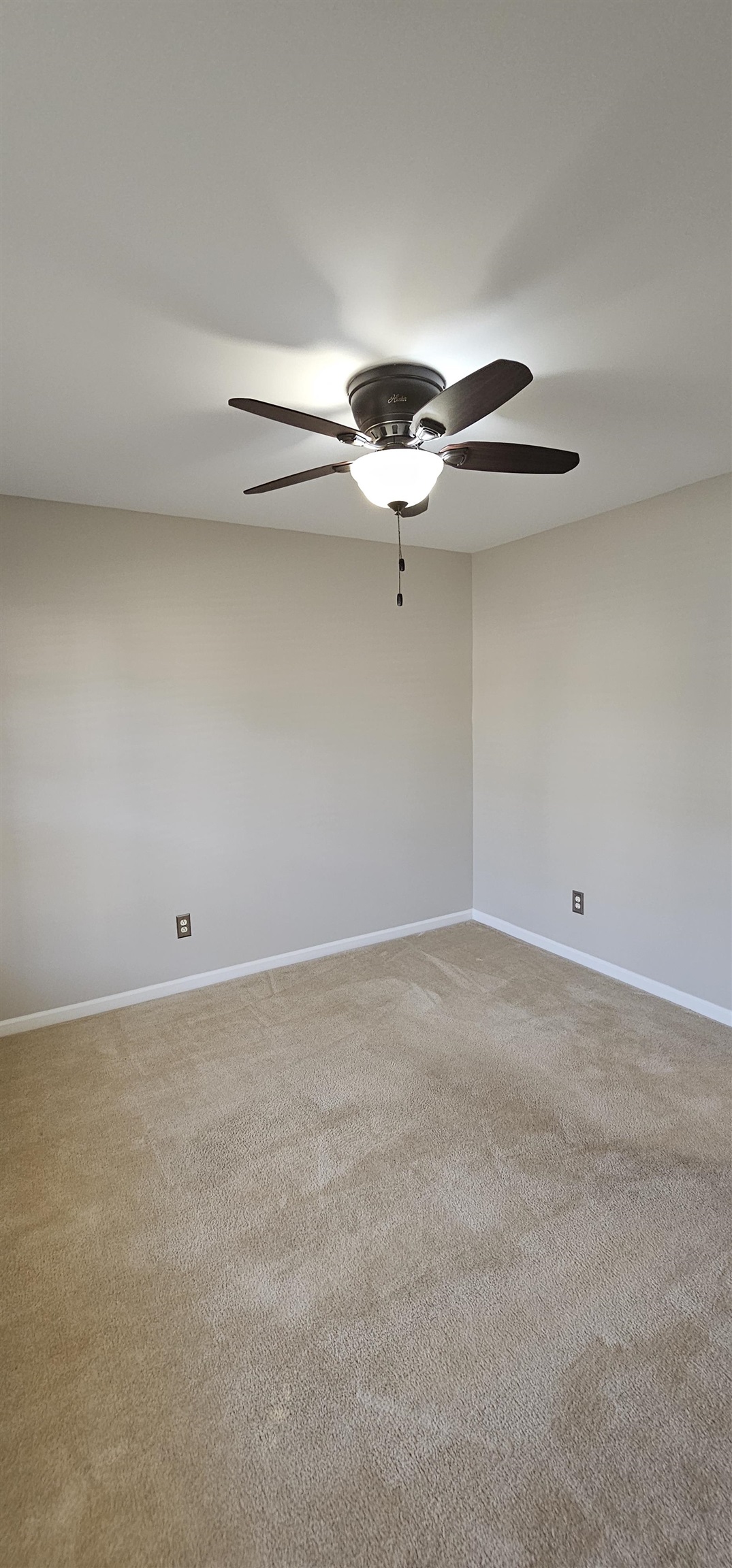 1593 Langley Dr. Property Photo 11