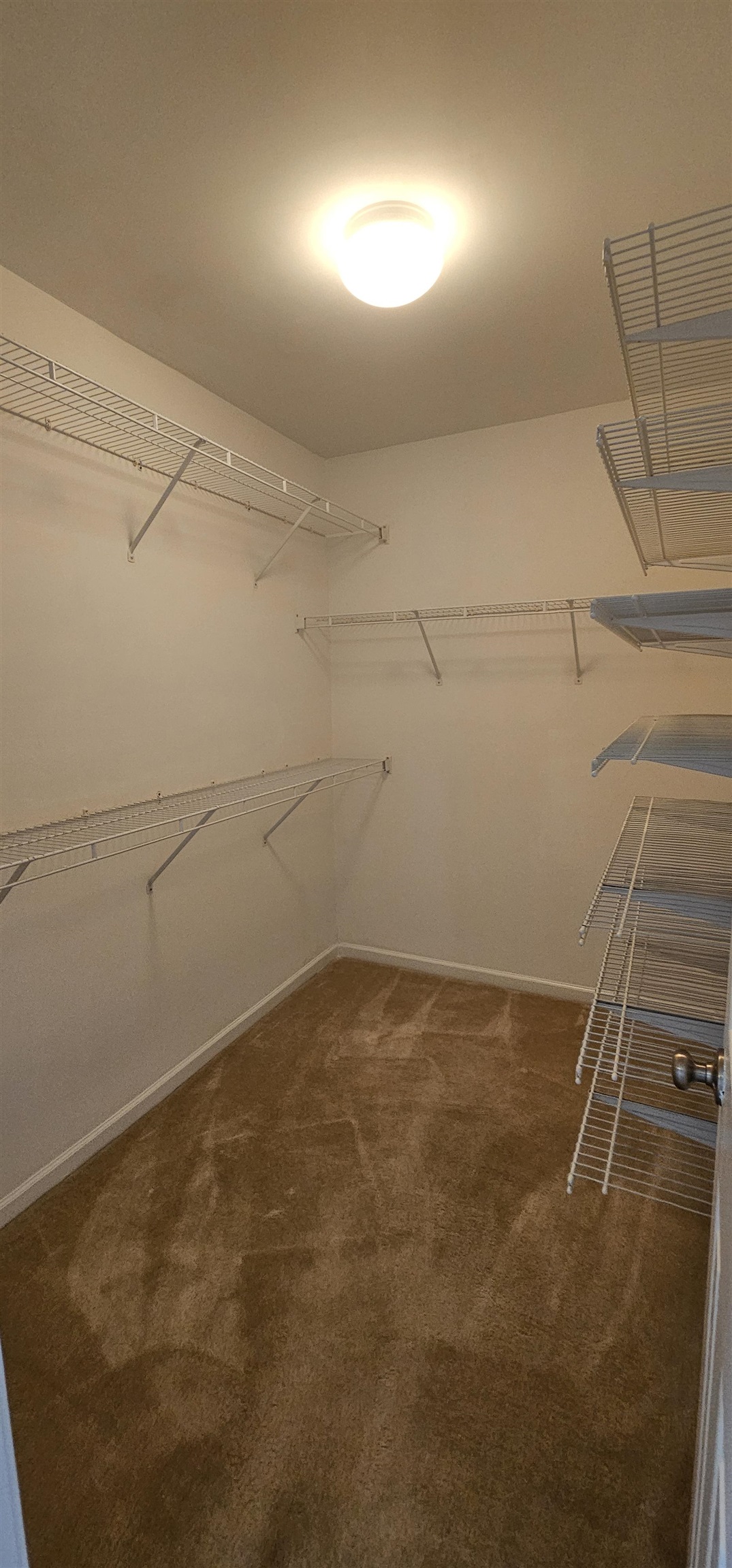 1593 Langley Dr. Property Photo 25