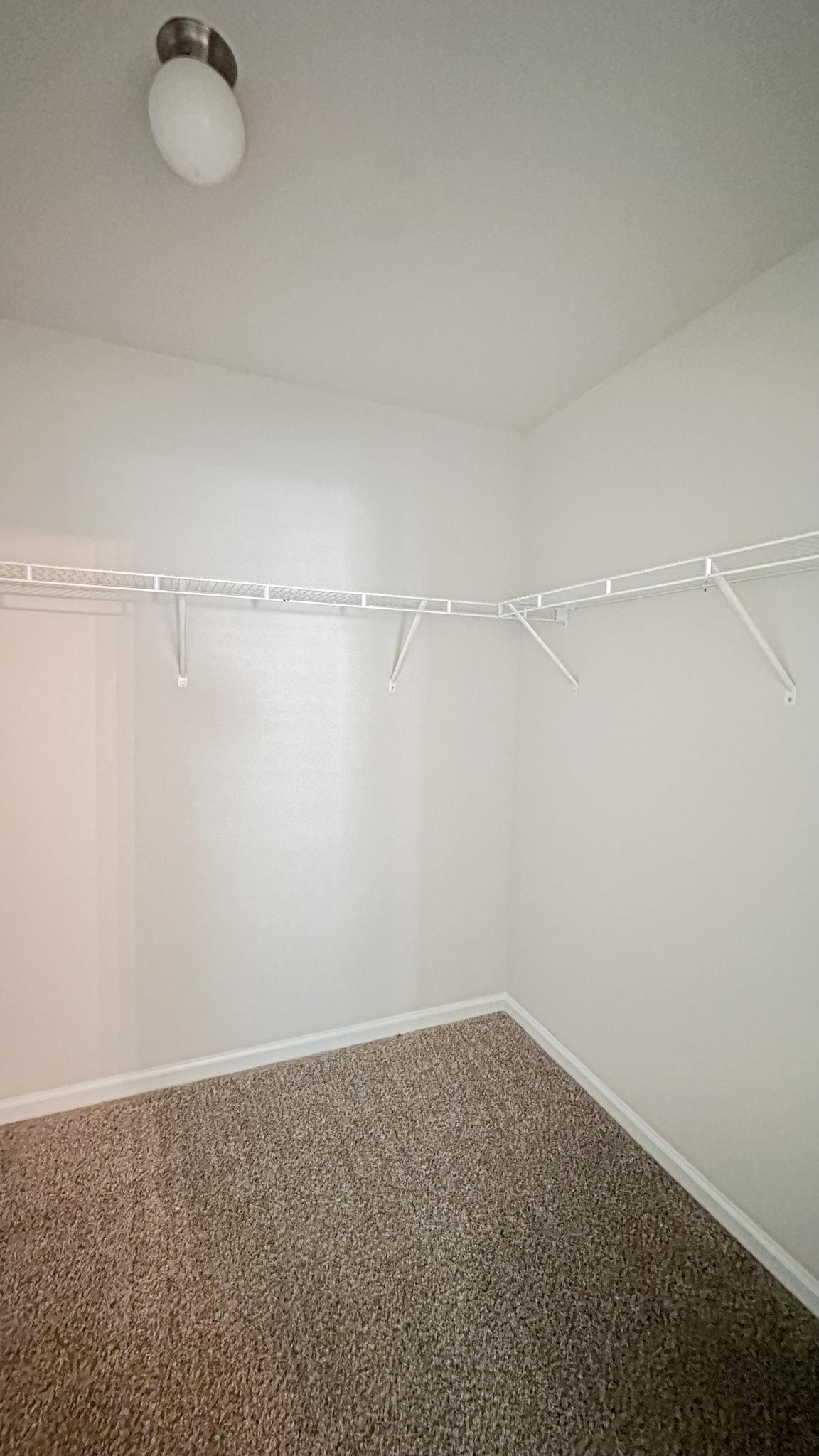 166 Foxford Dr. Property Photo 27