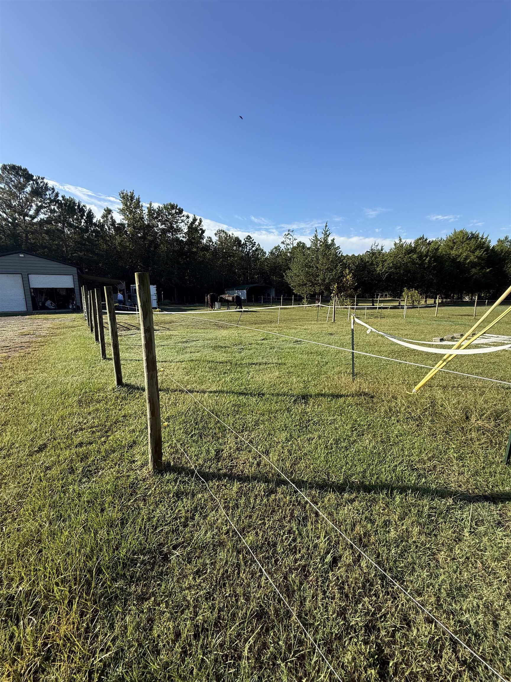 4224 Horse Pen Bay Rd. Property Photo 15